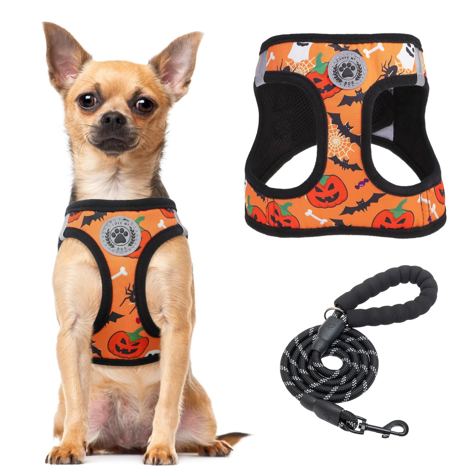 BEAUTYZOO Step in Dog Harness and Leash Set,Floral Pattern Reflective Dog Harness No Pull No Choke Puppy Harness for Small Dogs 