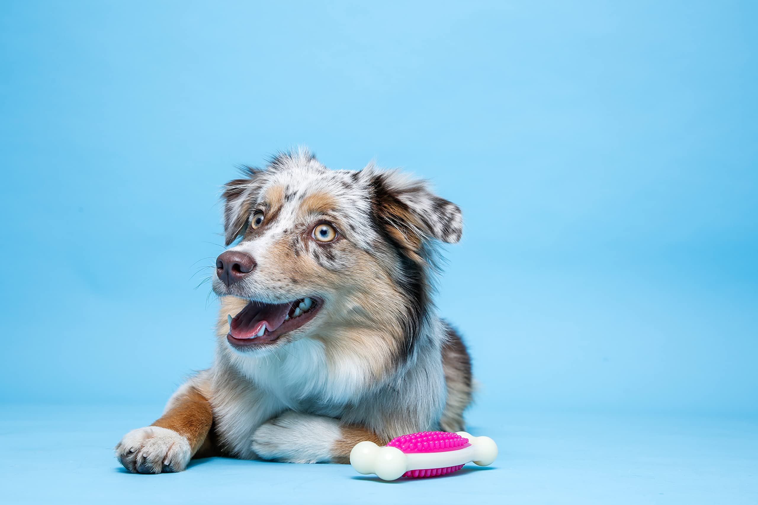 Hartz Chew 'N Clean Tuff Bone Bacon Scented Dental Dog Chew Toy - Medium