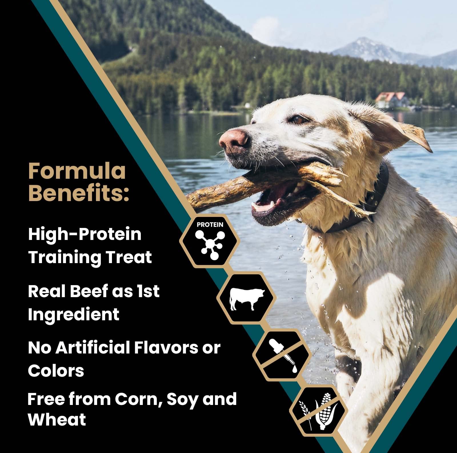 Victor Super Premium Dog Treats - Classic Hi-Pro Bites Dog Treats - Training Treats with Real Beef - Tender Beef Protein Trainin
