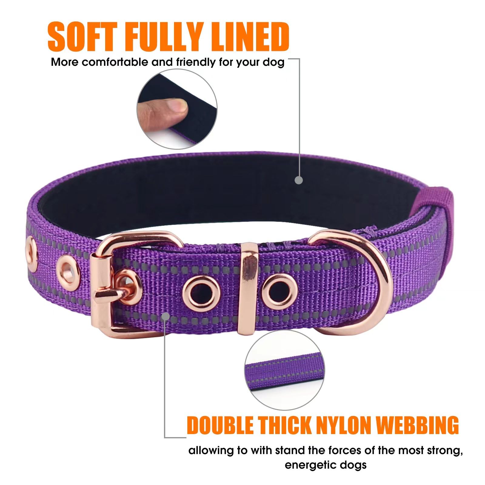 Yunleparks Neoprene Padded Collar, Nylon Dog Collar - Heavy Duty with Metal Buckle, Adjustable Reflective (Large, Purple)