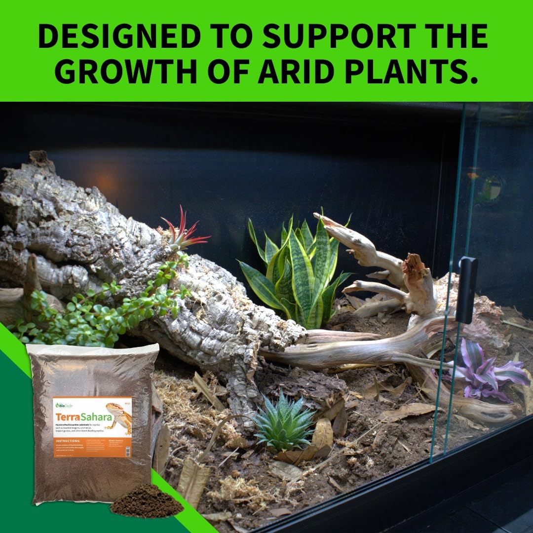 The Bio Dude Terra Sahara Bioactive Reptile Substrate 36 Quarts For Terrariums And Vivariums. Bioactive Substrate For Bearded Dr