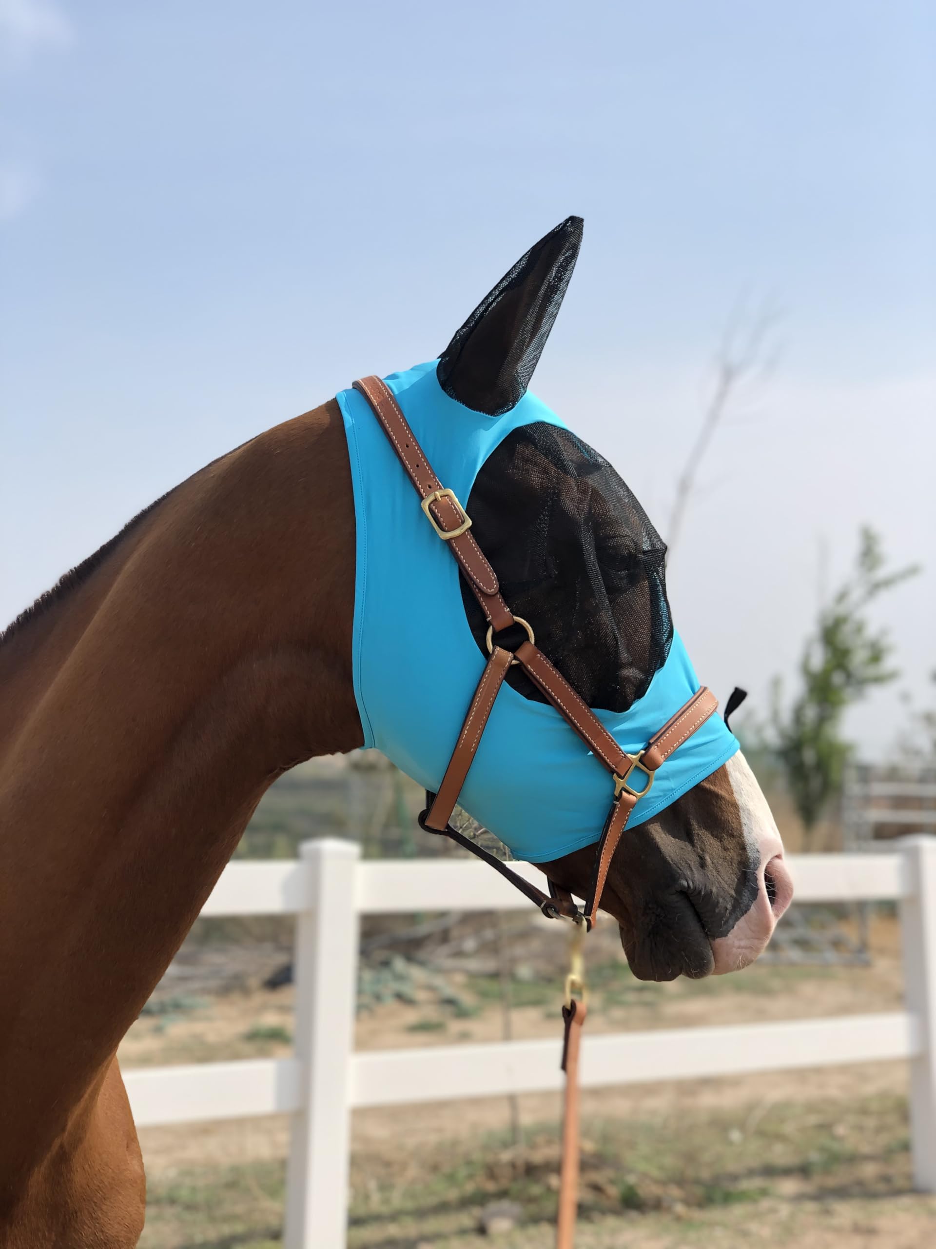Horse Fly Mask Super Comfort Elasticity Horse Fly Mask with Ears We Only Make Products That Horses Like (Pacific Blue, L)