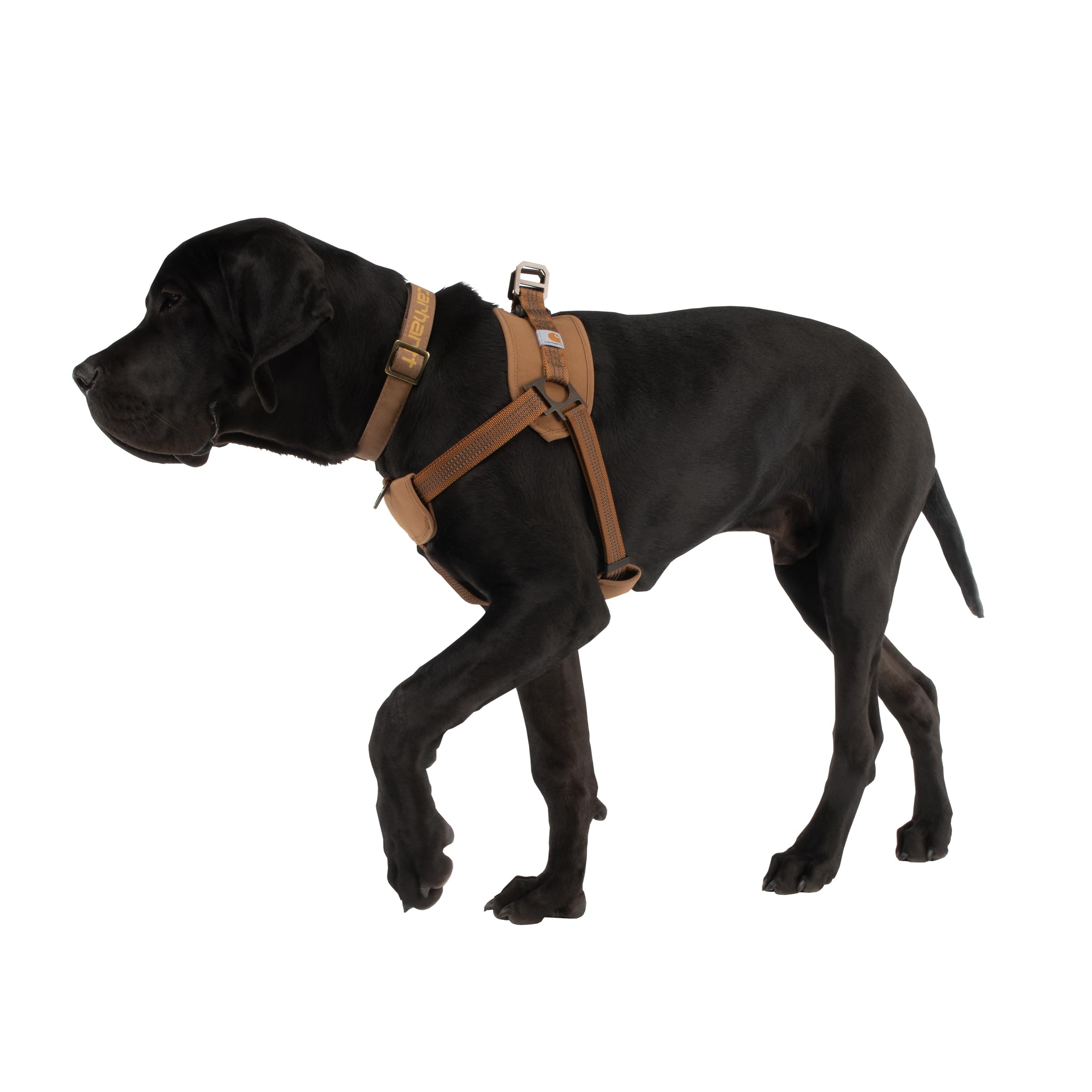 Carhartt Nylon Duck Training Dog Harness, Carhartt Brown, X-Large