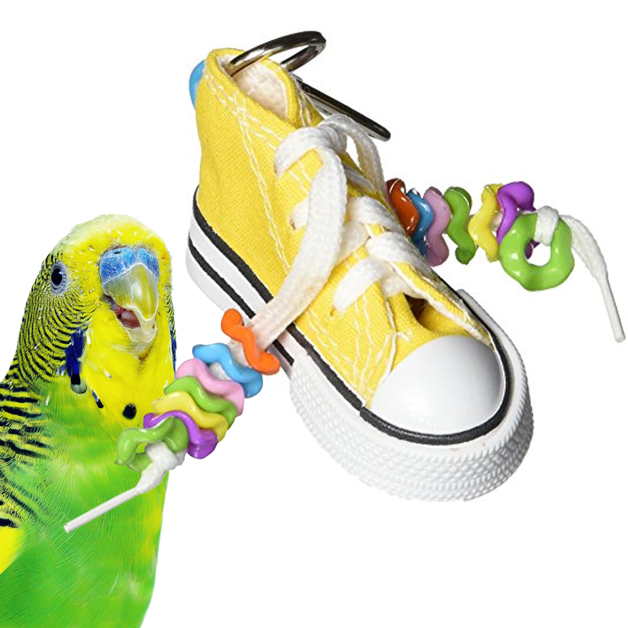 Super Bird Creations SB719 Beaker Sneaker Bird Toy for Parrotlets, Parakeets, Cockatiels, Lovebirds, ringnecks, Medium Conures -