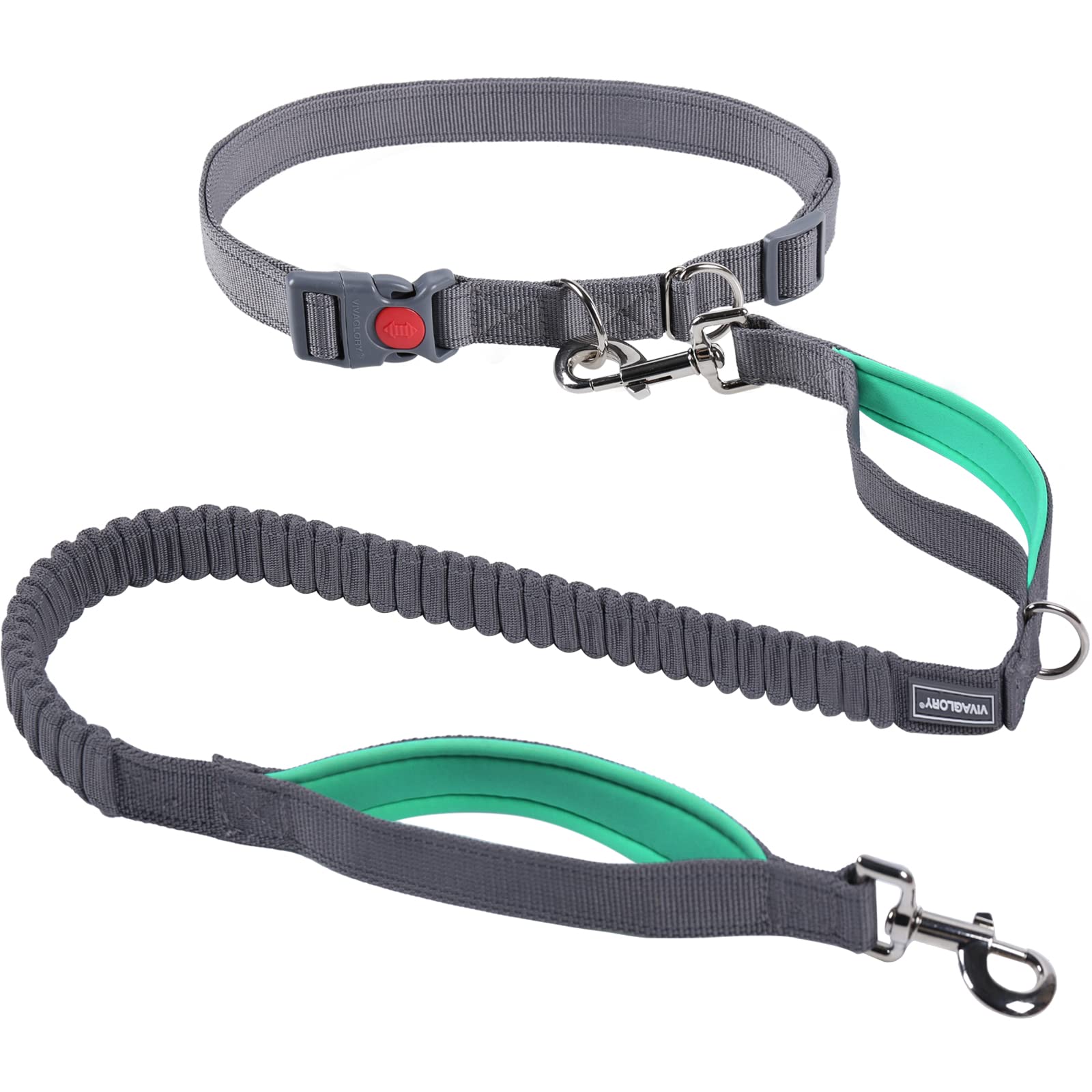 Vivaglory Hands Free Dog Leash With Shock-Absorbing Bungee For Medium & Large Dogs, Reflective Adjustable Waist Leash With Dual Padded Handle For Walking, Jogging, Running, Hiking, Grey-Turquoise