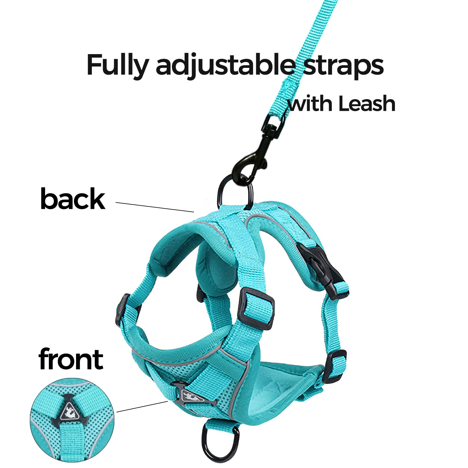 pangdi Cat Harness and Leash Set, Escape Proof, Large, Turquoise, Nylon