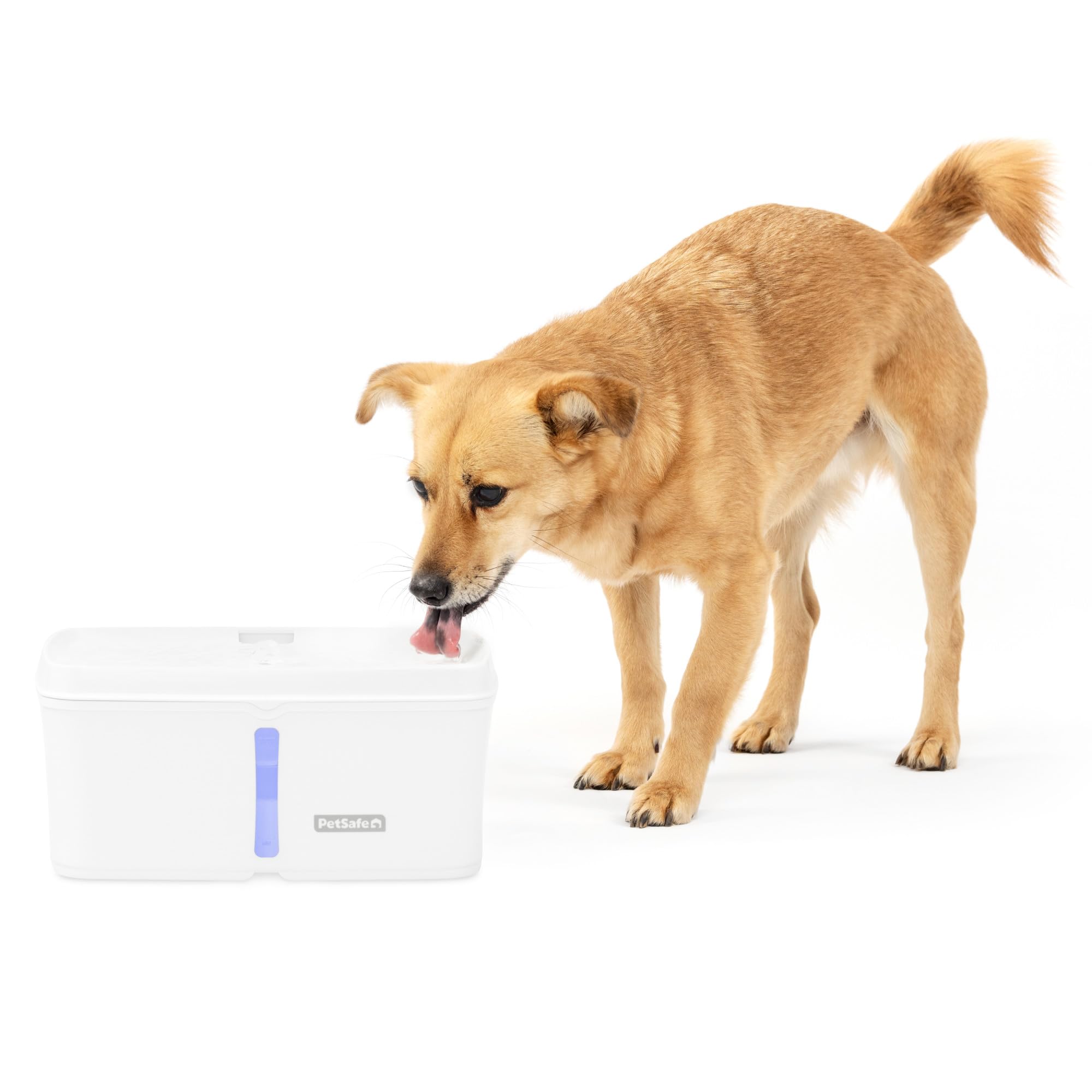 Petsafe Viva Pet Fountain For Cats And Dogs - 4.1L/140 Oz, Indoor Cat Water Fountain With Ultra Quiet Pump, Dishwasher Safe, Eas