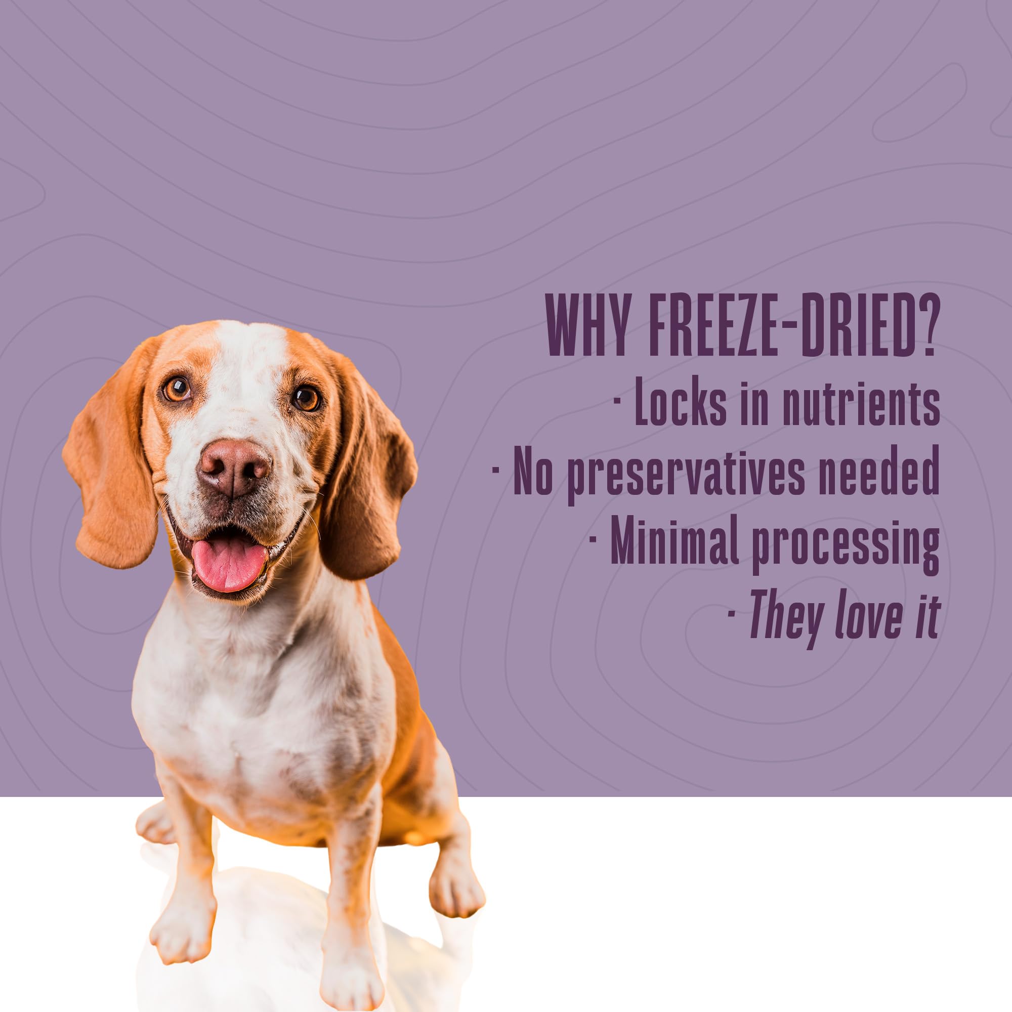 Whole Life Dog Living Treats for Dogs - Human Grade Probiotics for Digestive & Gut Health, Gas, Diarrhea, Vomit & Constipation R