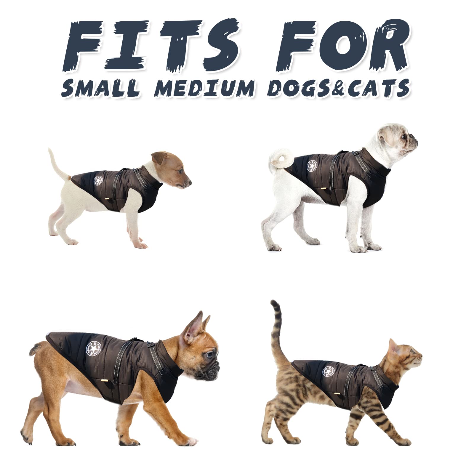 Aimydog Warm Dog Winter Coat, Fashion Sports Dog Cold Weather Jacket With Built-In Harness, Reflective & Adjustable Comfortable Pet Vest, Waterproof Windproof Dog Apparel For Small Dogs (Purple)