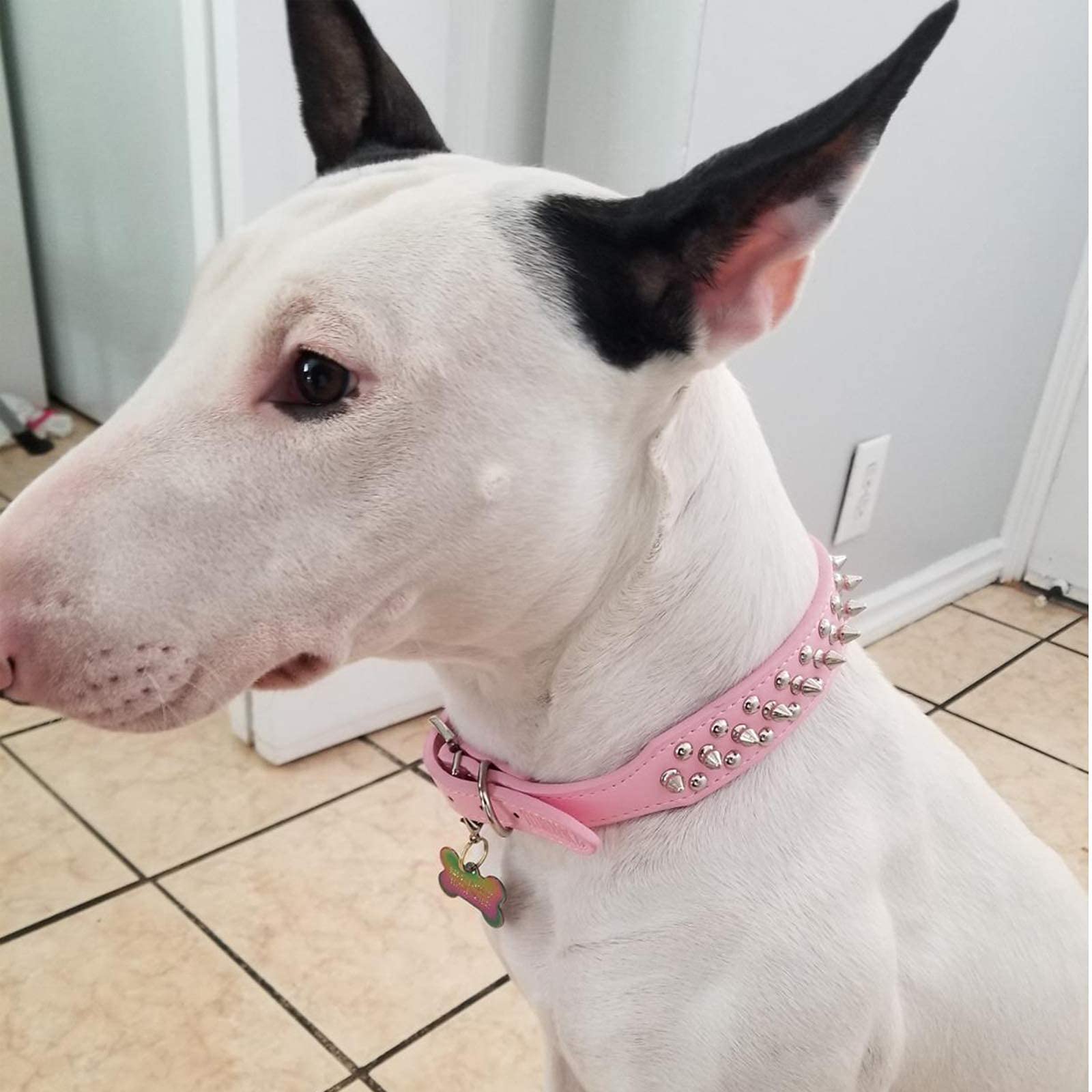 Petcare Spiked Dog Collar Pink Soft Pu Leather Funny Mushrooms Rivet Spike Studded Puppy Collar Adjustable Outdoor Pet Dog Collar For Small Medium Large Dogs Cats Chihuahua Pug Pit Bull Dog Collars