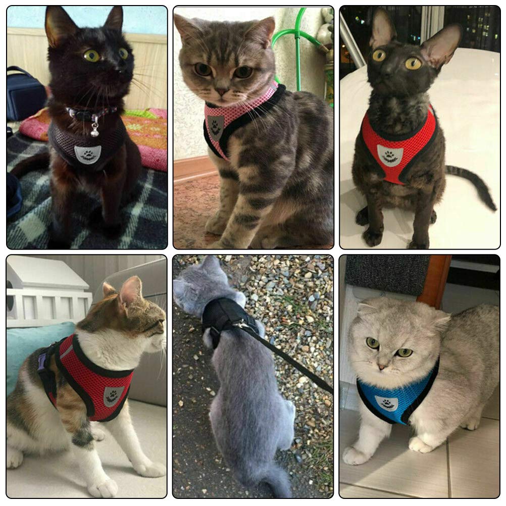 Soft Mesh Dog Harness Vest, Small Dog Harness, Night Reflective Adjustable Mesh Harness With Padded Vest And Leash(Pink)