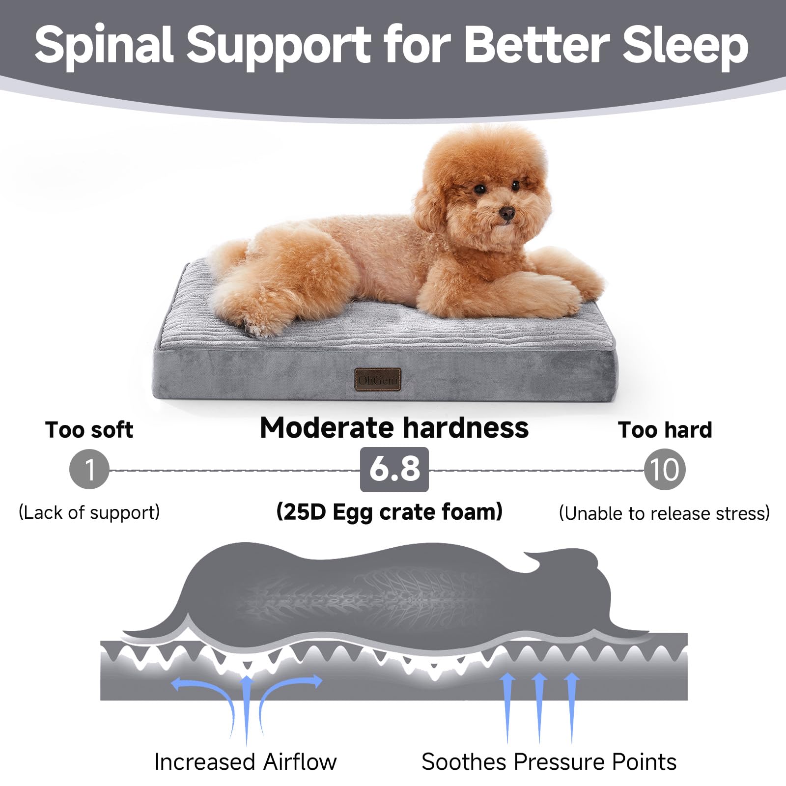 Ohgeni Orthopedic Waterproof & Machine Washable Dog Bed For Small Pets, Suitable For Crates, 25D Egg Crate Foam, Non-Slip Bottom