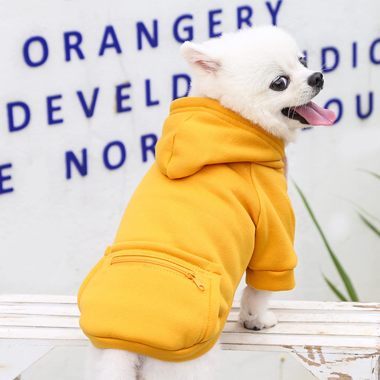 Petcare Dog Hoodies Pet Small Dog Sweater Yellow Warm Soft Fleece Sweatshirts With Pocket Winter Puppy Cat Sweaters Hooded Cloth