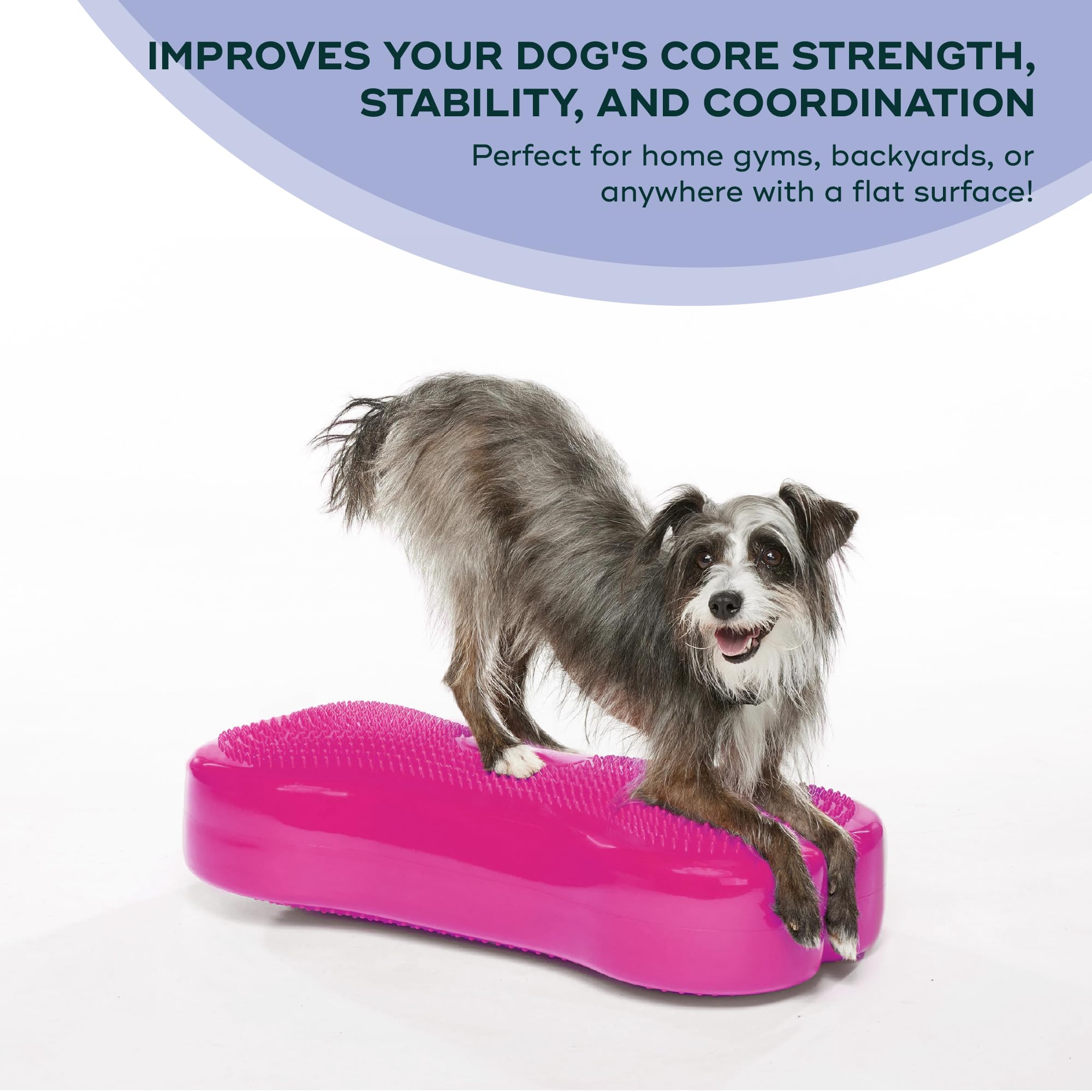Fitpaws® K9Fitbone® - Regular, Razzleberry | Dog Balance Training Platform & Exercise Equipment | Workout Tool For Strength, Core & Stability