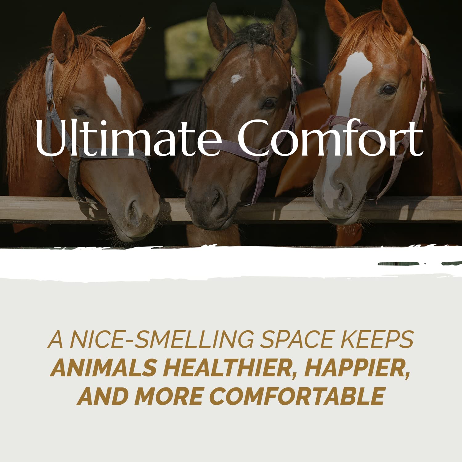 High Grade French Hemp Bedding, 44Lb Jumbo Bulk Bag Of Extremely Low Dust Shavings For Horses, Chickens, Small Animals, Rats, Guinea Pigs, Bunny Rabbits, Reptiles, Good Chicken Coop Bedding