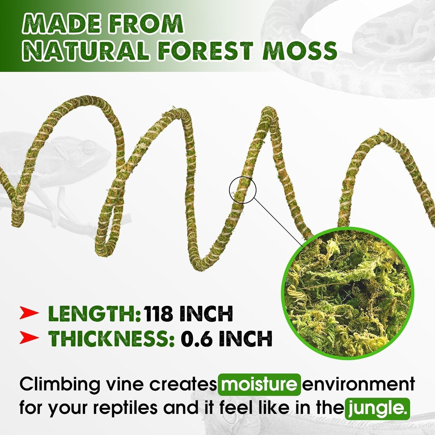Duspro Reptile Decor Set Including 10Ft Reptile Vine Climbing Bendable Branch & 04 Oz Natural Dried Forest Moss Bag Ideal For Be