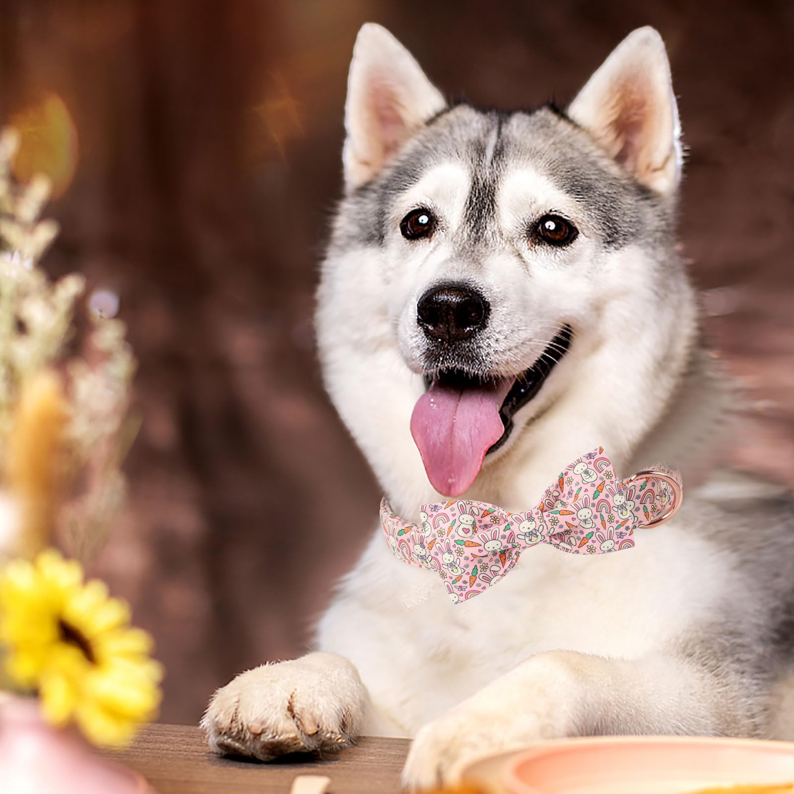 Babole Pet Easter Dog Collar With Bow Tie - Bunny Pattern Pink Bowtie Adjustable Heavy Duty Spring Collar For Small Medium Large