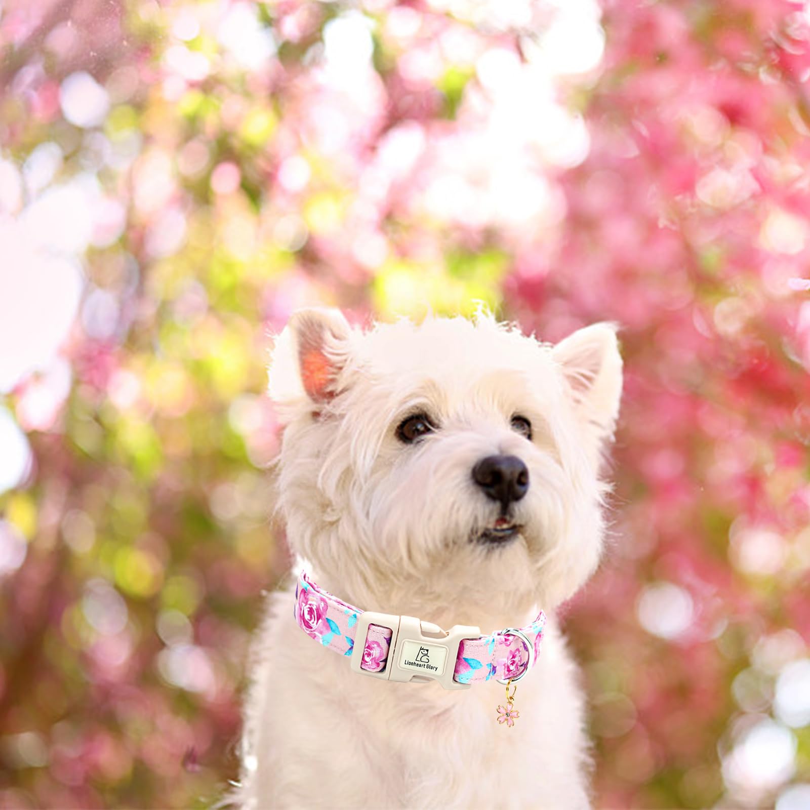 Lionheart Glory Dog Collar Floral Pattern Cute Collar For Medium Dogs Spring Summer Female Or Male Collars Pets Gift Adjustable
