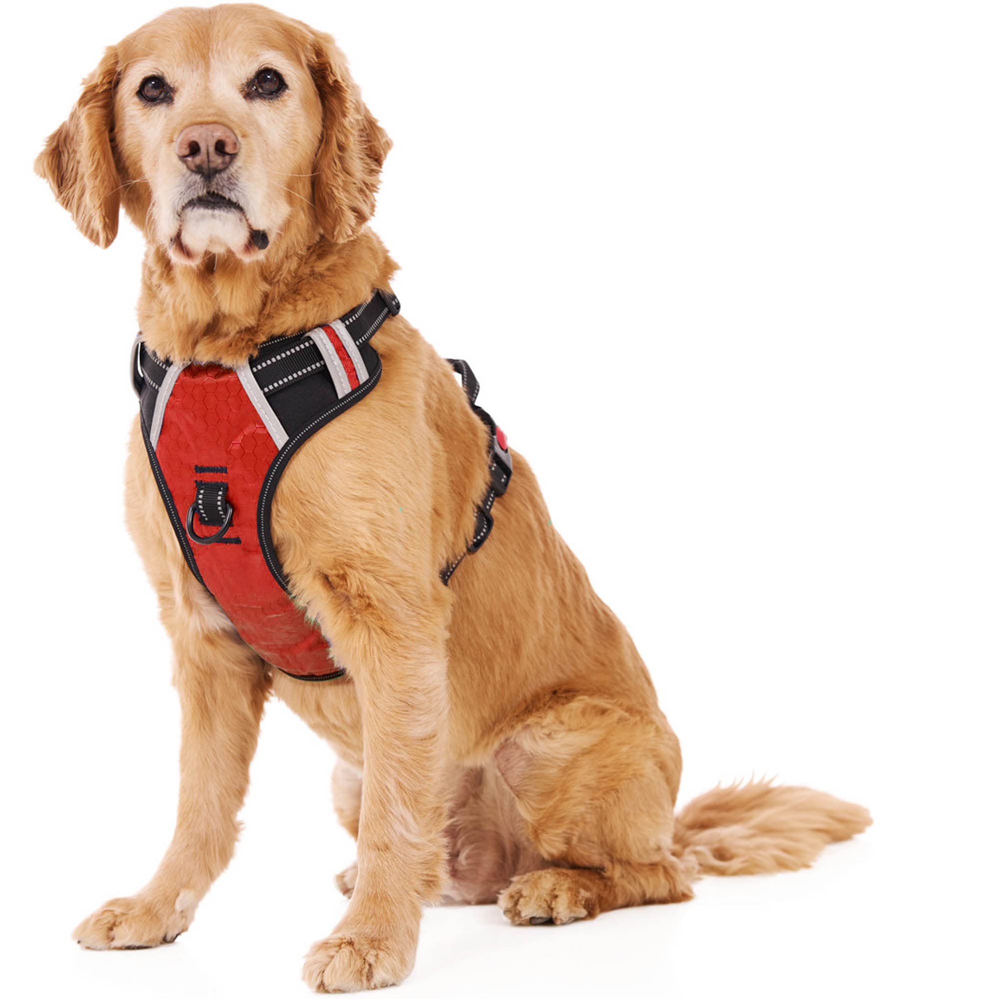 Espawda Padded Comfort Harness With No Pull Design For Small Dogs, Medium Dogs And Big Dogs (Medium, Red)