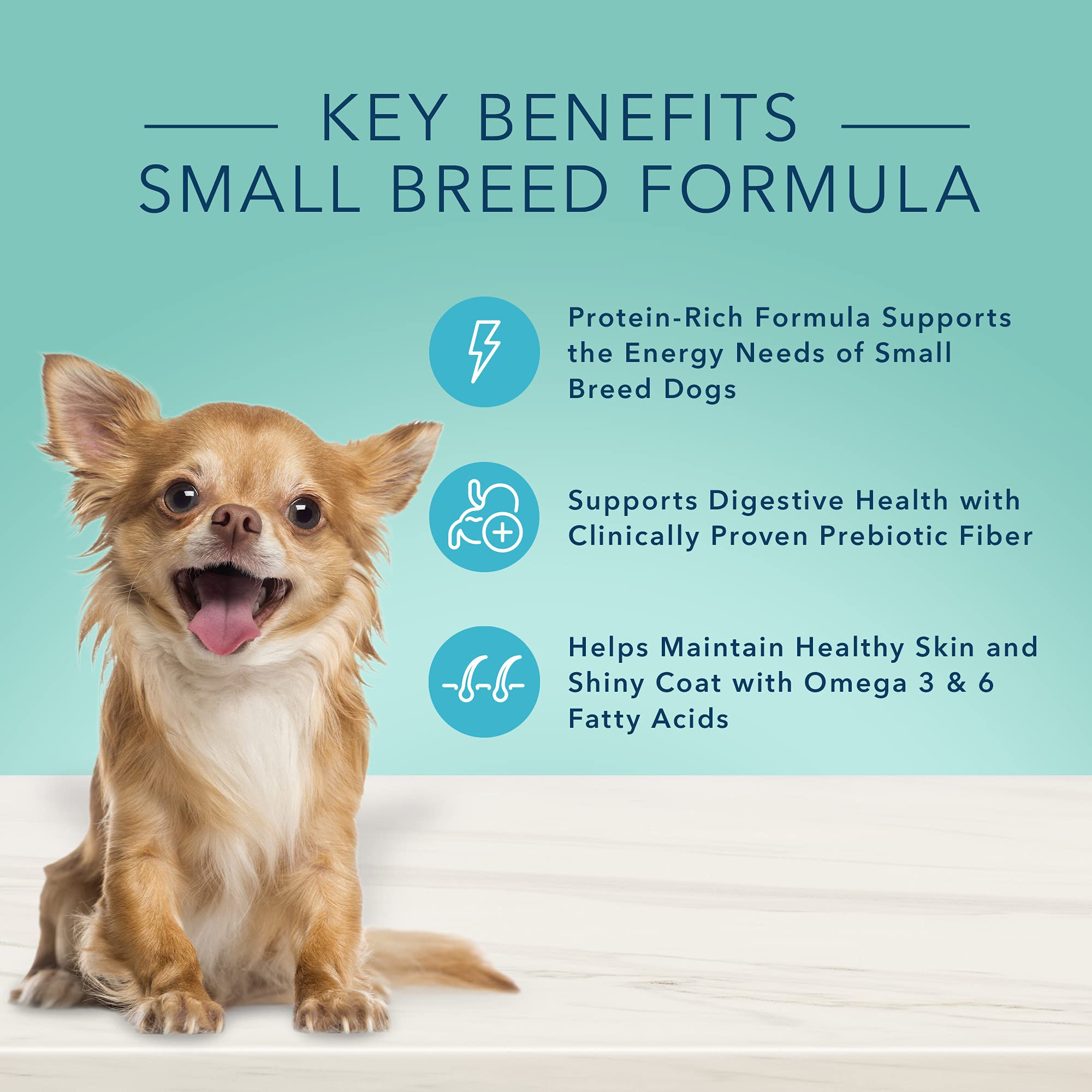 Blue Buffalo True Solutions Small & Mighty Natural Wet Food for Adult Small Breed Dogs, Chicken, 5.5-oz cans (24 Count)