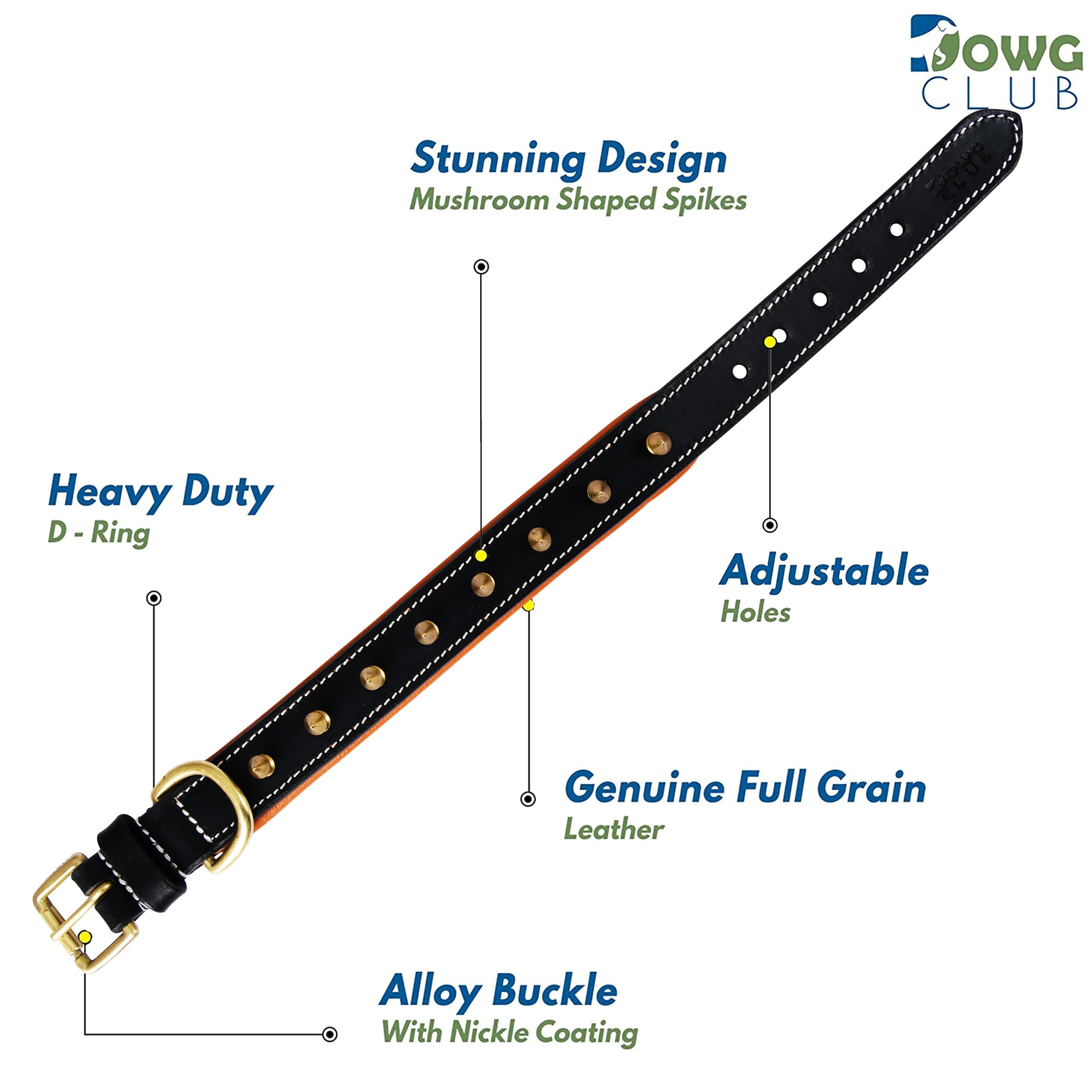Dowgclub | Genuine Leather Spike Dog Collar | 1'' Wide | Full Grain, Heavy Duty | Comfortable, Strong, Inner Padded | Best For S