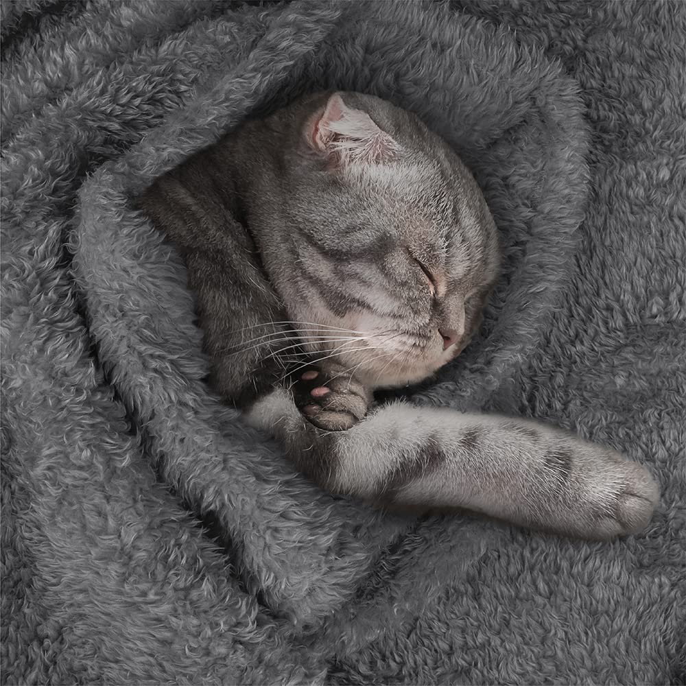 Petami Fluffy Dog Blanket For Large Giant Dog, Plush Warm Pet Blanket For Bed, Sherpa Furniture Couch Cover Protector, Soft Fleece Cat Throw, Shag Reversible Washable Crate Kennel Cover, Gray 60X80
