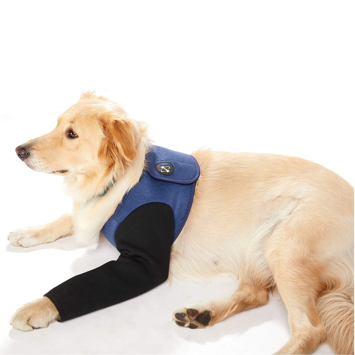 Dog Recovery Suit, Cone Collar Alternative, Abrasion Resistant Dog Recovery Sleeve, Washable 2.5Mm Thick And Waterproof, Pet Wounds Prevent Licking, Bite, Being Wet And Infected (M)