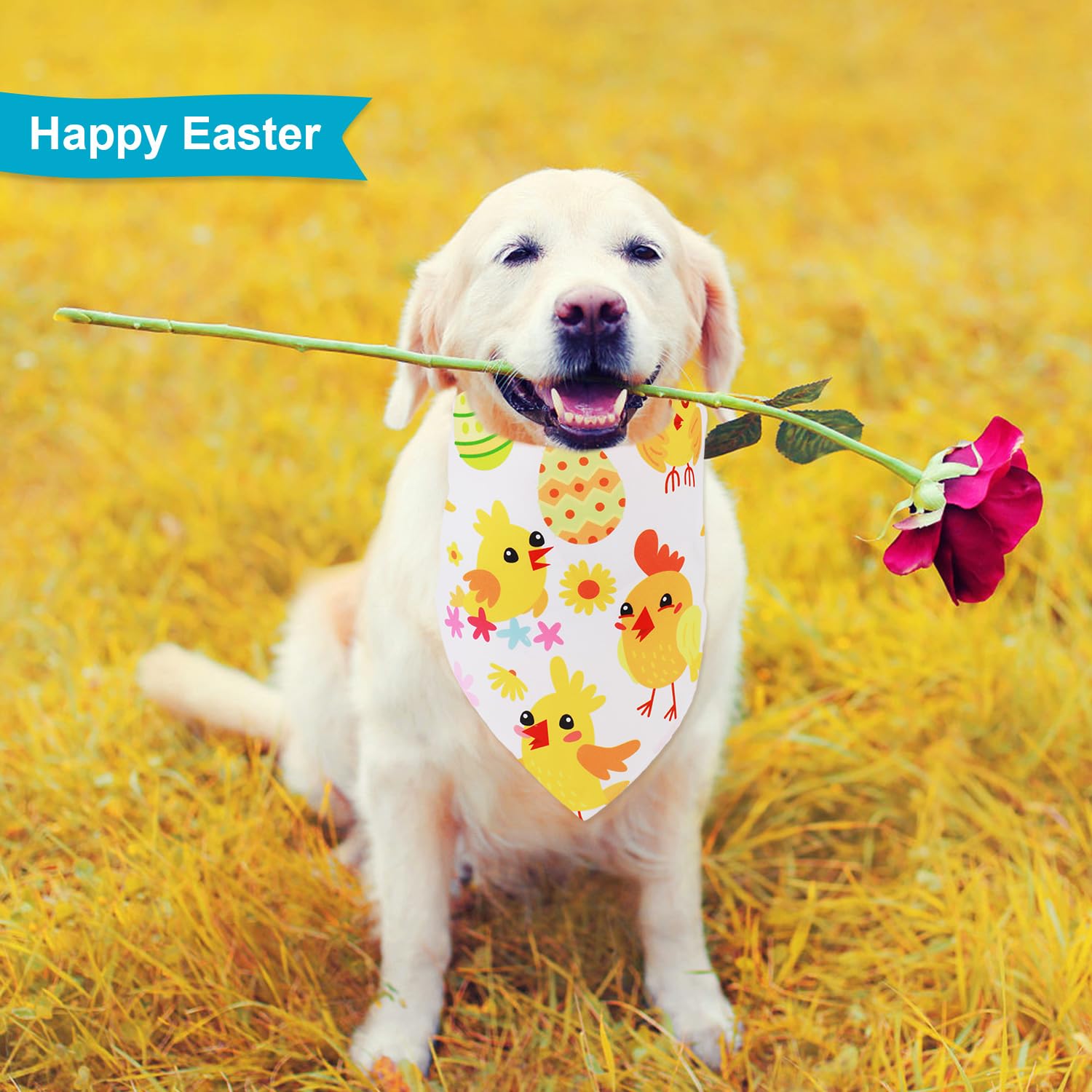 Peutier 4Pcs Easter Dog Bandana, Rabbit Easter Egg Pattern Easter Dog Scarf Triangle Bibs Pet Kerchief Bandana For Dogs Cats Hol