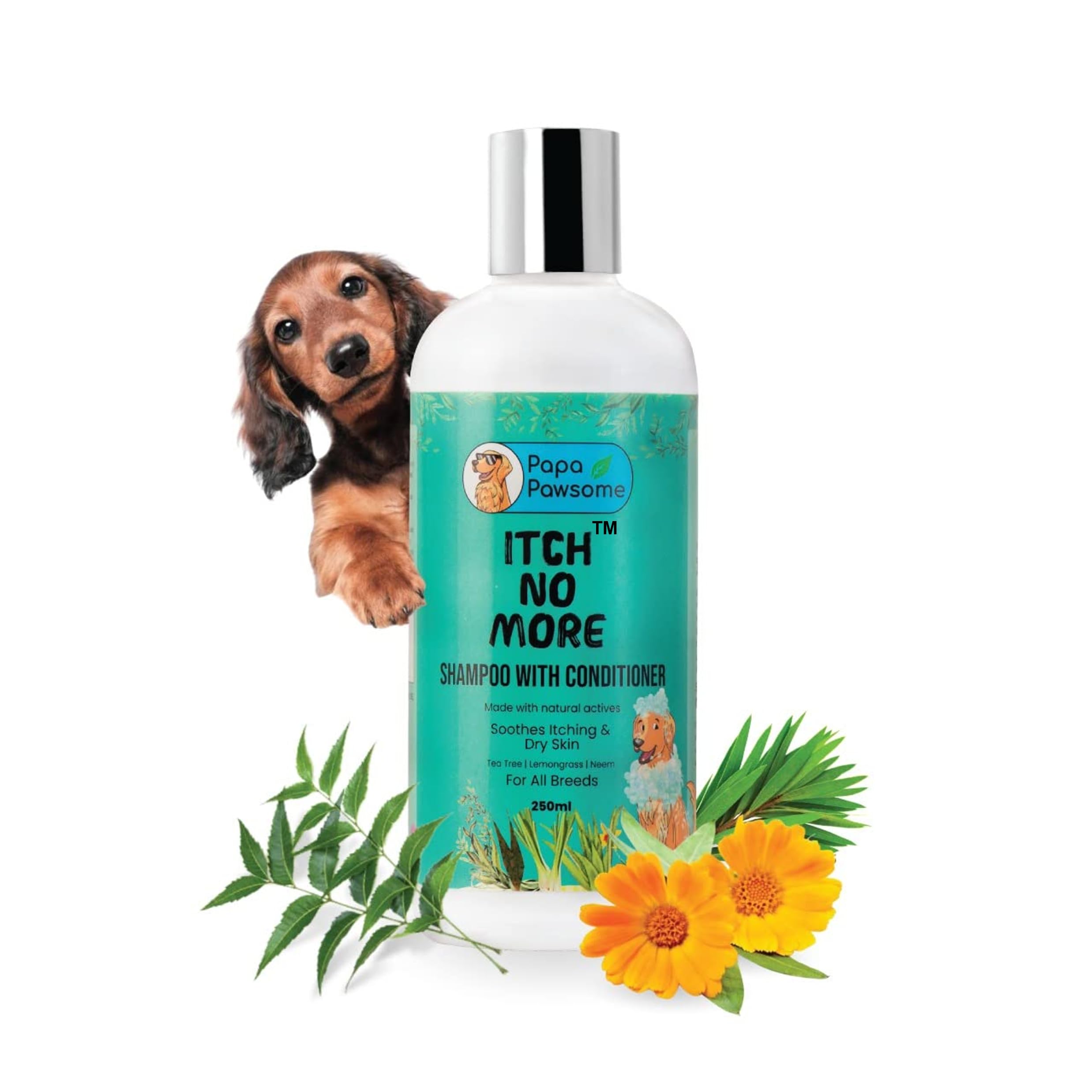 Papa Pawsome Itch No More 2-In-1 Dog Shampoo & Conditioner 250Ml|Natural Anti-Fungal, Anti-Itching Formula|Soothes Itching,Rashe