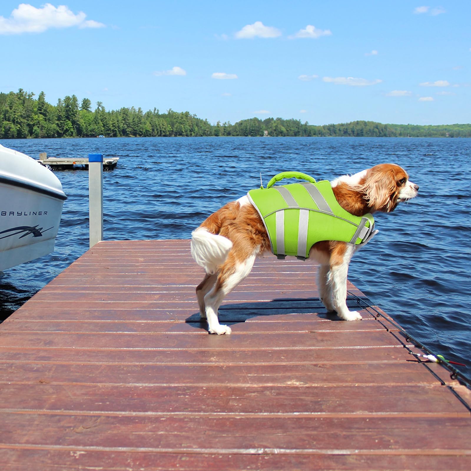 Kuoser Dog Life Jackets for Medium Dogs, Dog Life Vests for Swimming, Reflective Dog Life Vest Beach Boating with High Flotation