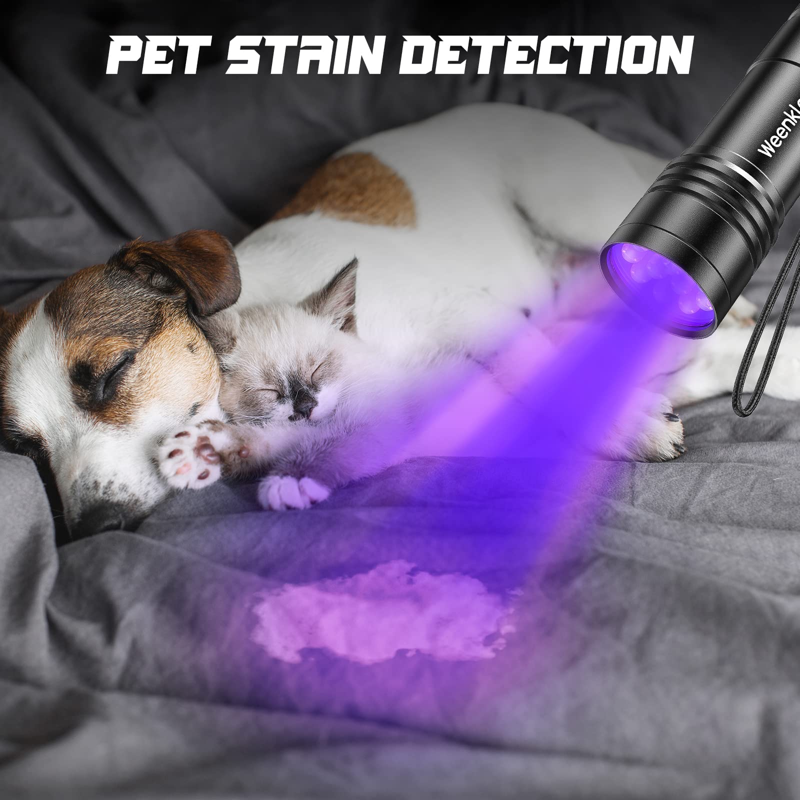 Kizplays Uv Flashlights, 2 Pack Black Light Flashlights With 12 Led And 395 Nm Black Light For Pet Urine And House Stains Detecting, 6 Aaa Batteries Included