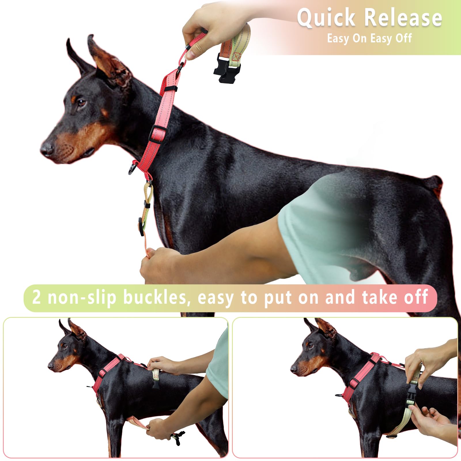 Roses&Poetry Puppy Dog Harness And Leash Set, No Pull Dog Harness Adjustable Reflective, Dog Halter Harnesses Comfort Padded Han