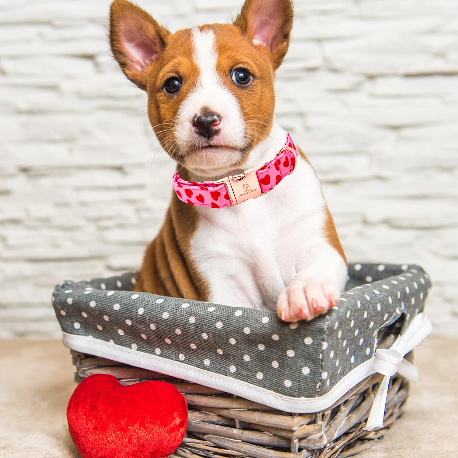 Lionheart Glory Valentine Collar, Red Hearts Dog Collars For Medium Cute Dog Collars Spring Female Pet Gift Adjustable Heavy-Dut