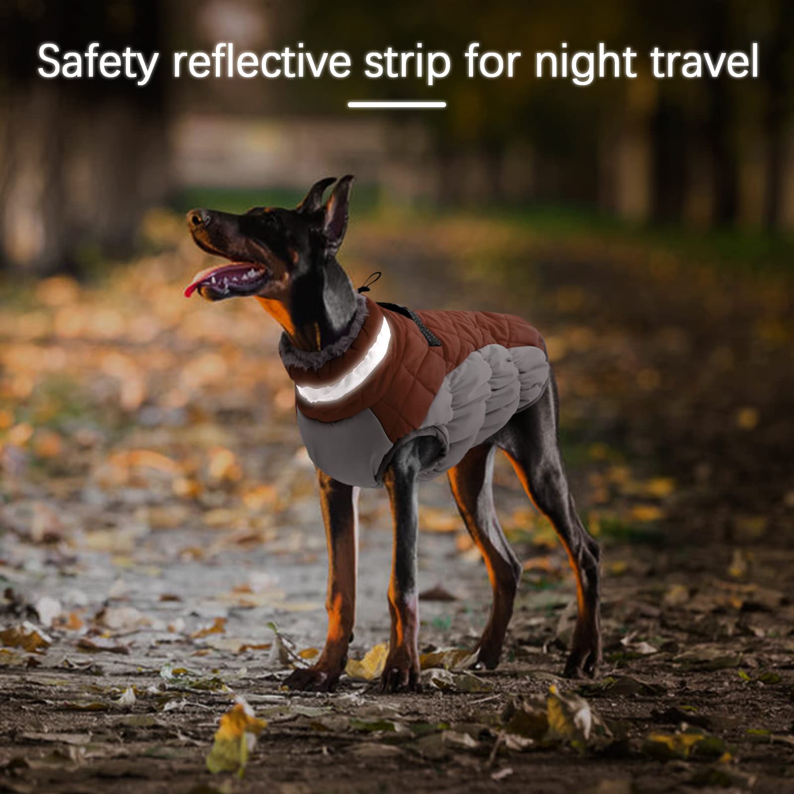 Ouobob Dog Winter Jacket Cozy Reflective Waterproof Dog Coat Windproof Warm Pet Garment, Comfortable Cold Weather Fleece Apparel Outfits With Zipper Closure For Small Medium Large Dogs Puppy Walking