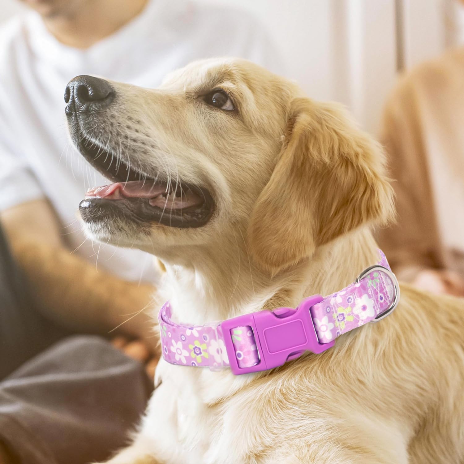 Girl Dog Collar With Purple Floral Patterns, Adjustable Cute Soft Pet Collar With Quick Release Buckle For Small Medium Large Xl