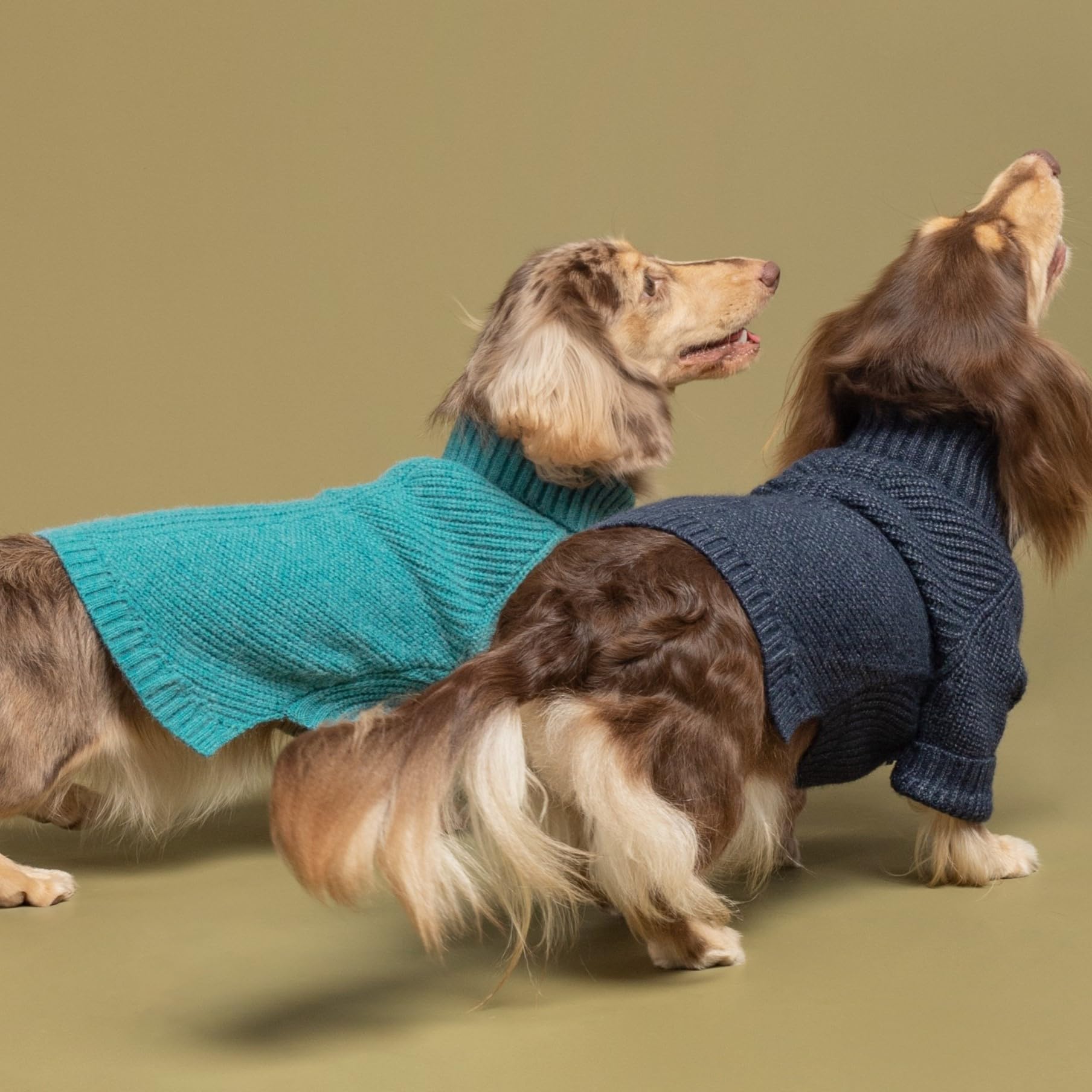 Fitwarm Turtleneck Dog Knitted Sweater, Thermal Dog Winter Clothes For Small Dogs Boy Girl, Dog Sweater Doggy Pullover Jumper, Pet Outfit, Teal Blue, Medium