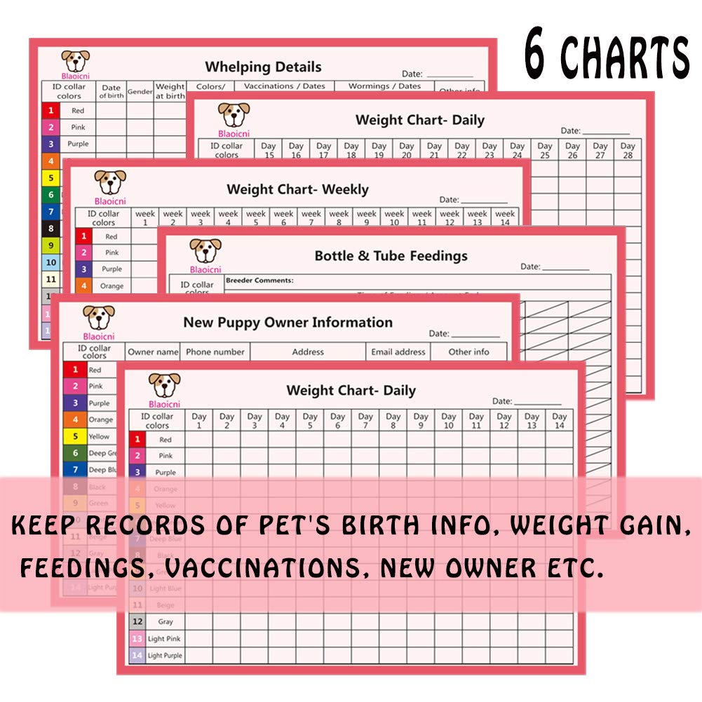 Puppy Id Collar Identification Soft Nylon Adjustable Breakaway Safety Whelping Litter Collars For Newborn Pets With Record Keeping Charts 12Pcs/Set(M)