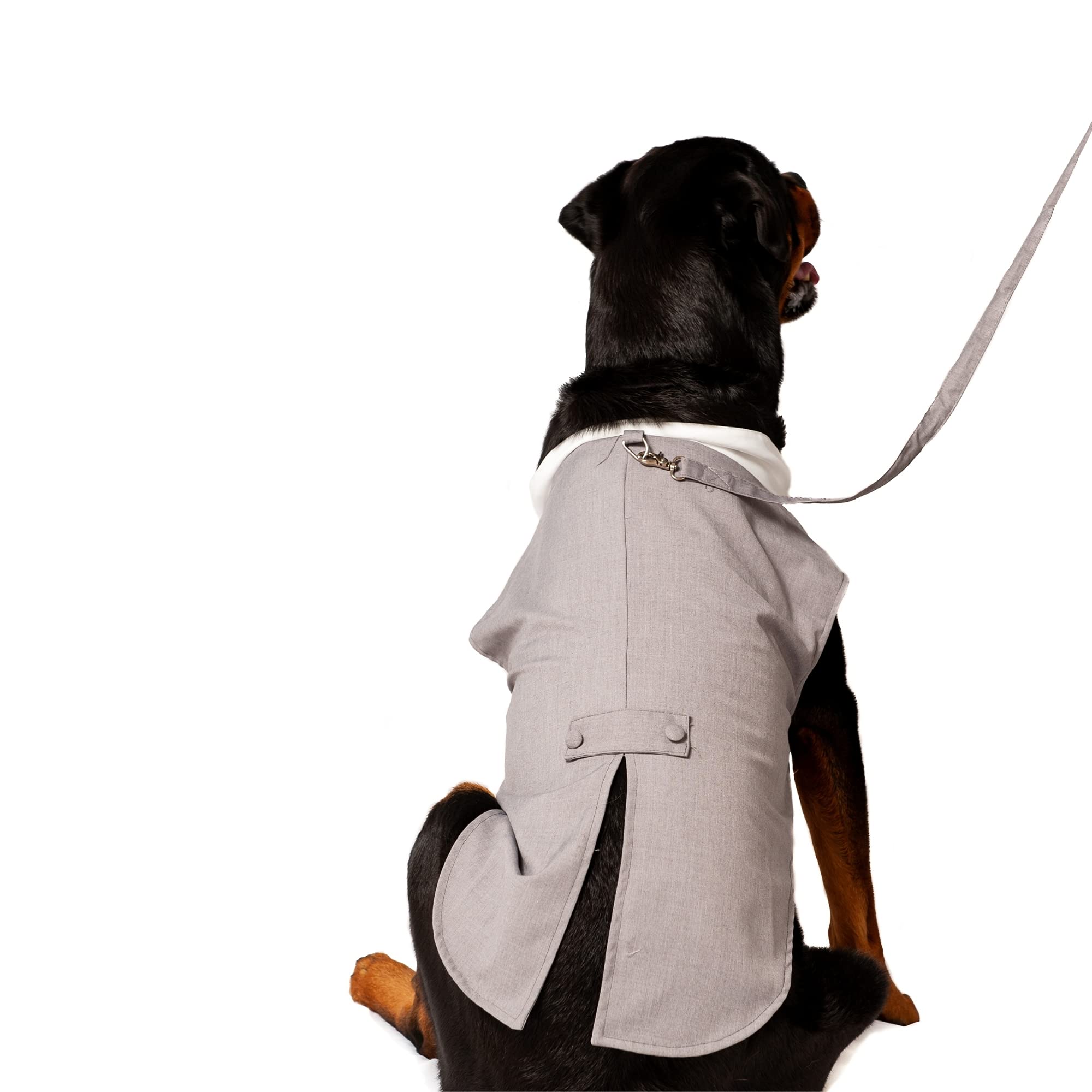 Midlee Dog Tuxedo Wedding Suit- Gray Top Hat & Leash (Xx-Large)