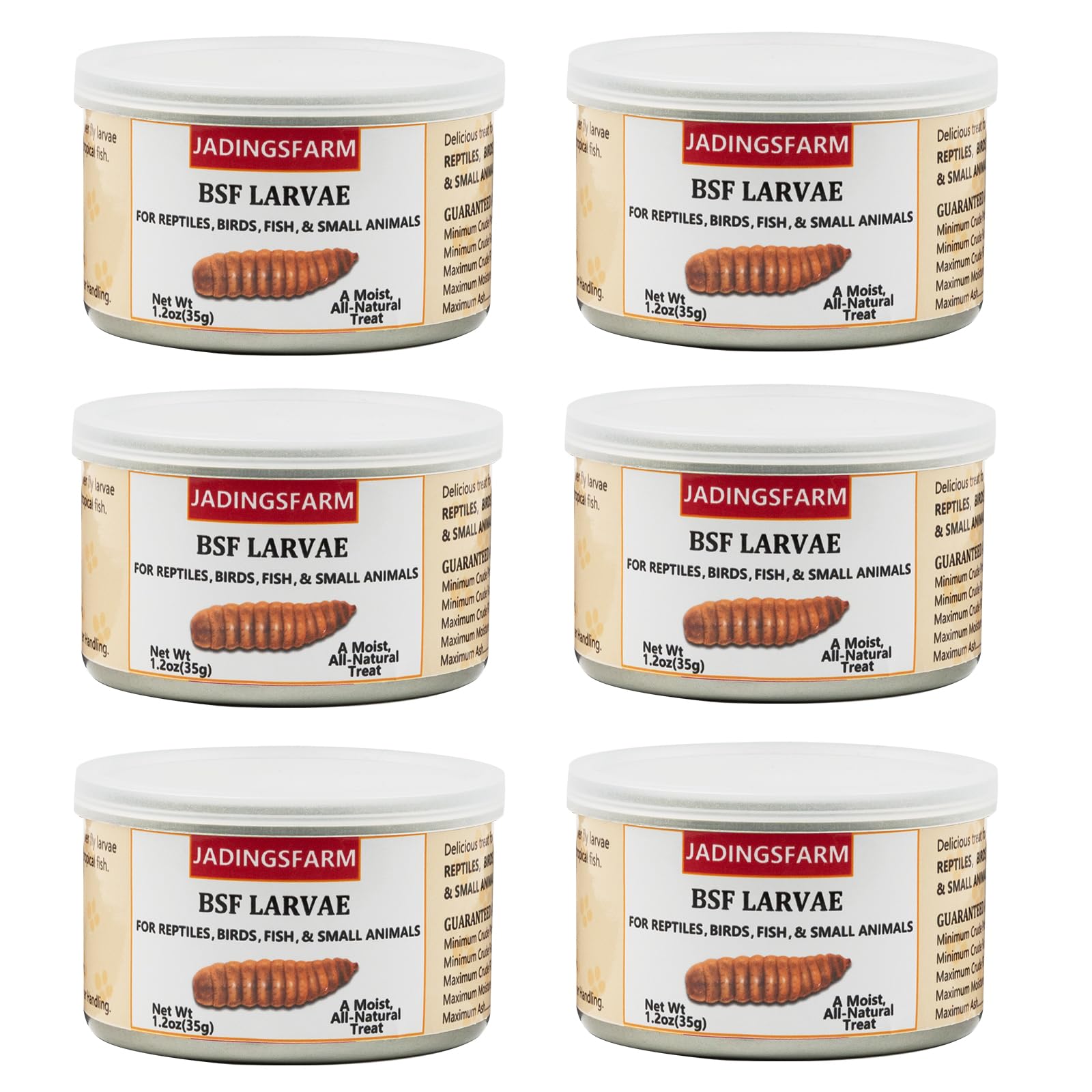 JADINGSFARM 6 Pack Canned Black Soldier Fly Larvae for Reptiles, Fish, Birds and Small Animals, BSF, Healthy High Protein Treat,