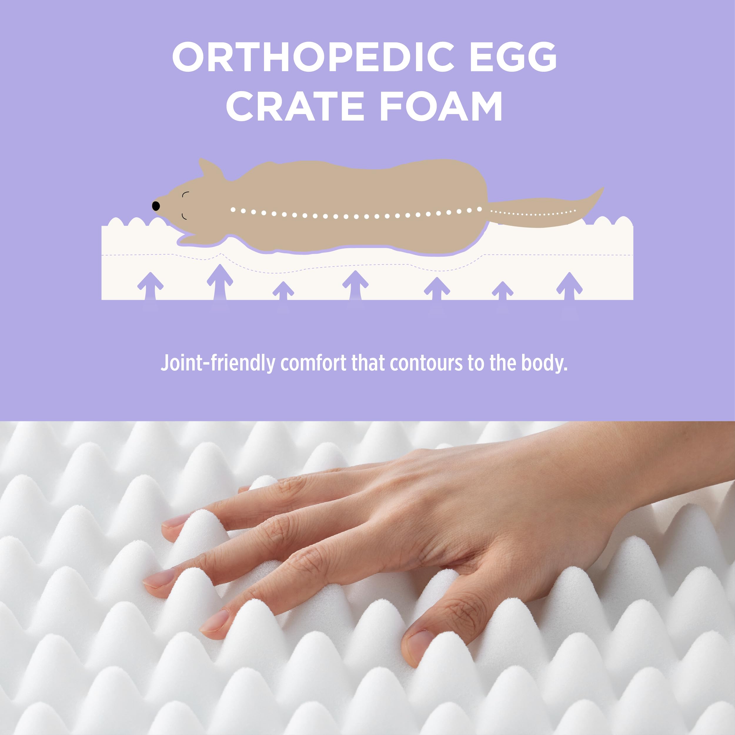 Lesure Cute Orthopedic Dog Bed Large Sized Dog, Waterproof Chic Flat Pet Beds With Removable Washable Cover, Fuzzy Thick Egg Cra