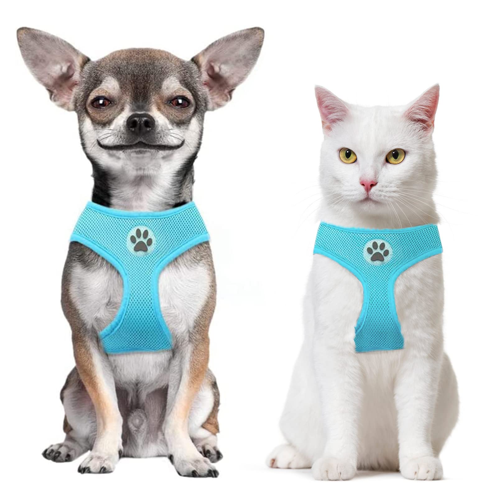 Bingpet Small Dog Harness - Breathable Mesh Puppy Cat Harnesses - No Pull Adjustable Dog Harness Dog Vest Harness For Small And Medium Dogs