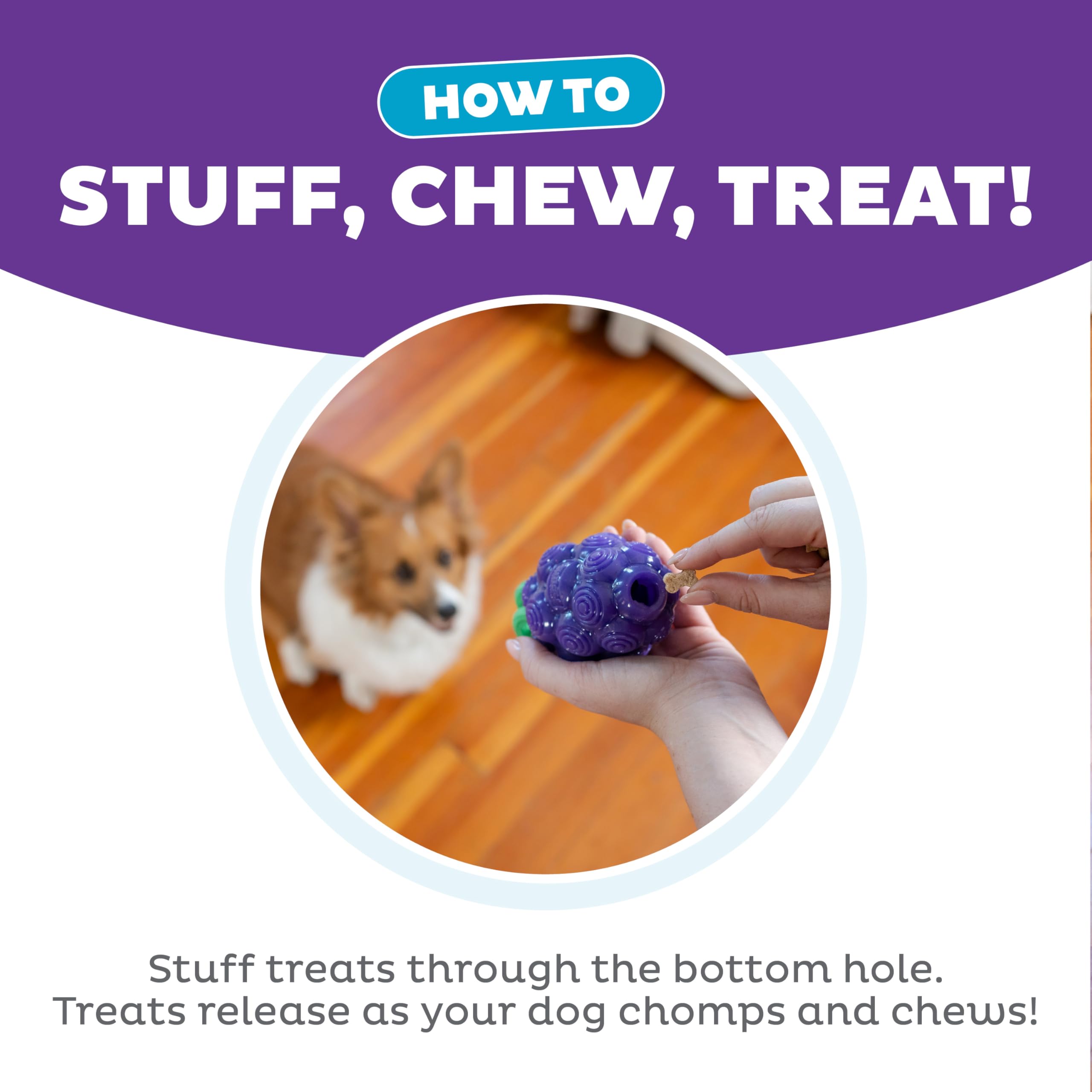 Outward Hound By Planet Dog Dental Grapes 2-In-1 Interactive Dog Chew Toy And Treat Stuffer, Medium, Purple