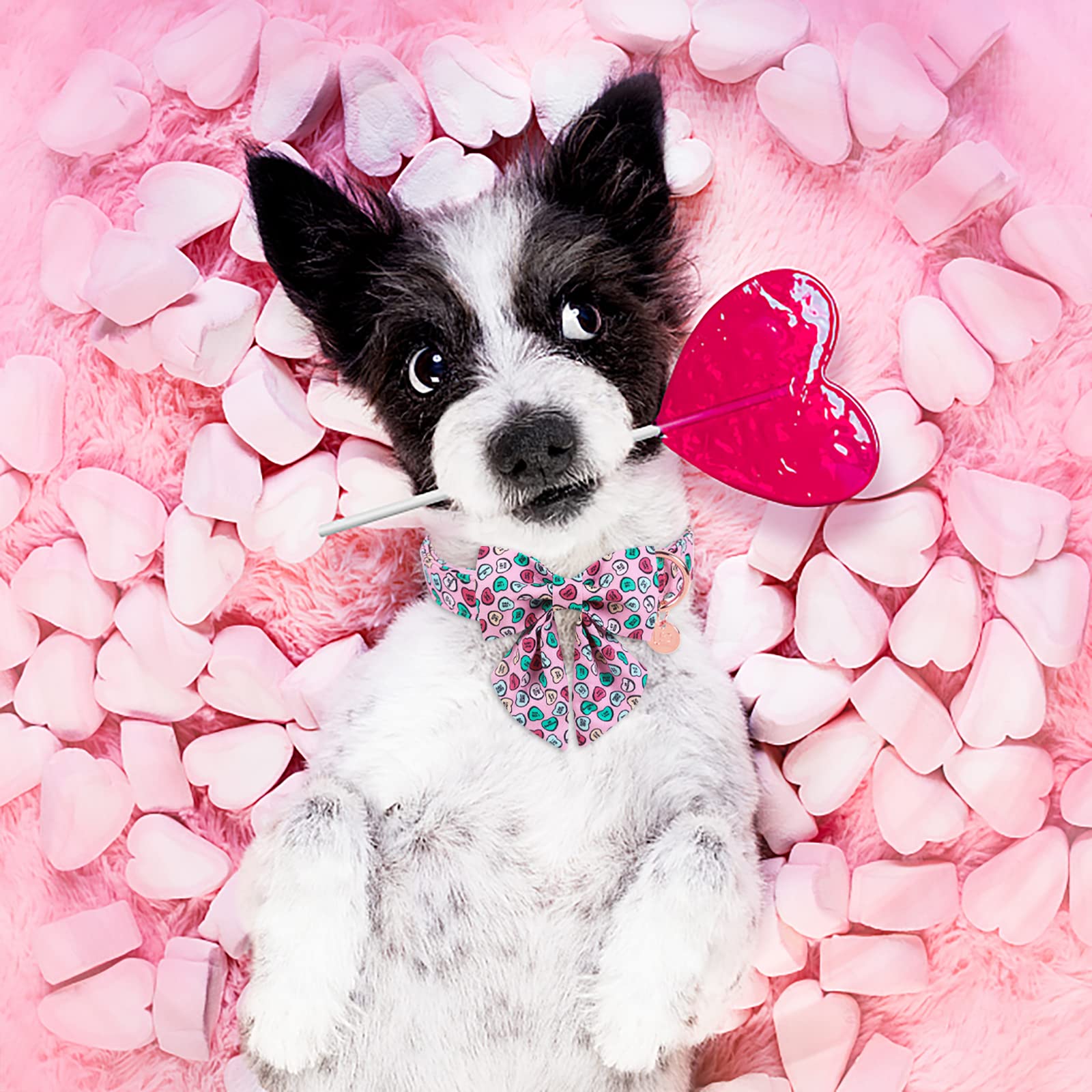 Up Urara Pup Valentines Day Dog Collar With Bow Tie, Valentine Bowtie Collar Large Girl Boy Dog, Valentines Day & Wedding Gift P