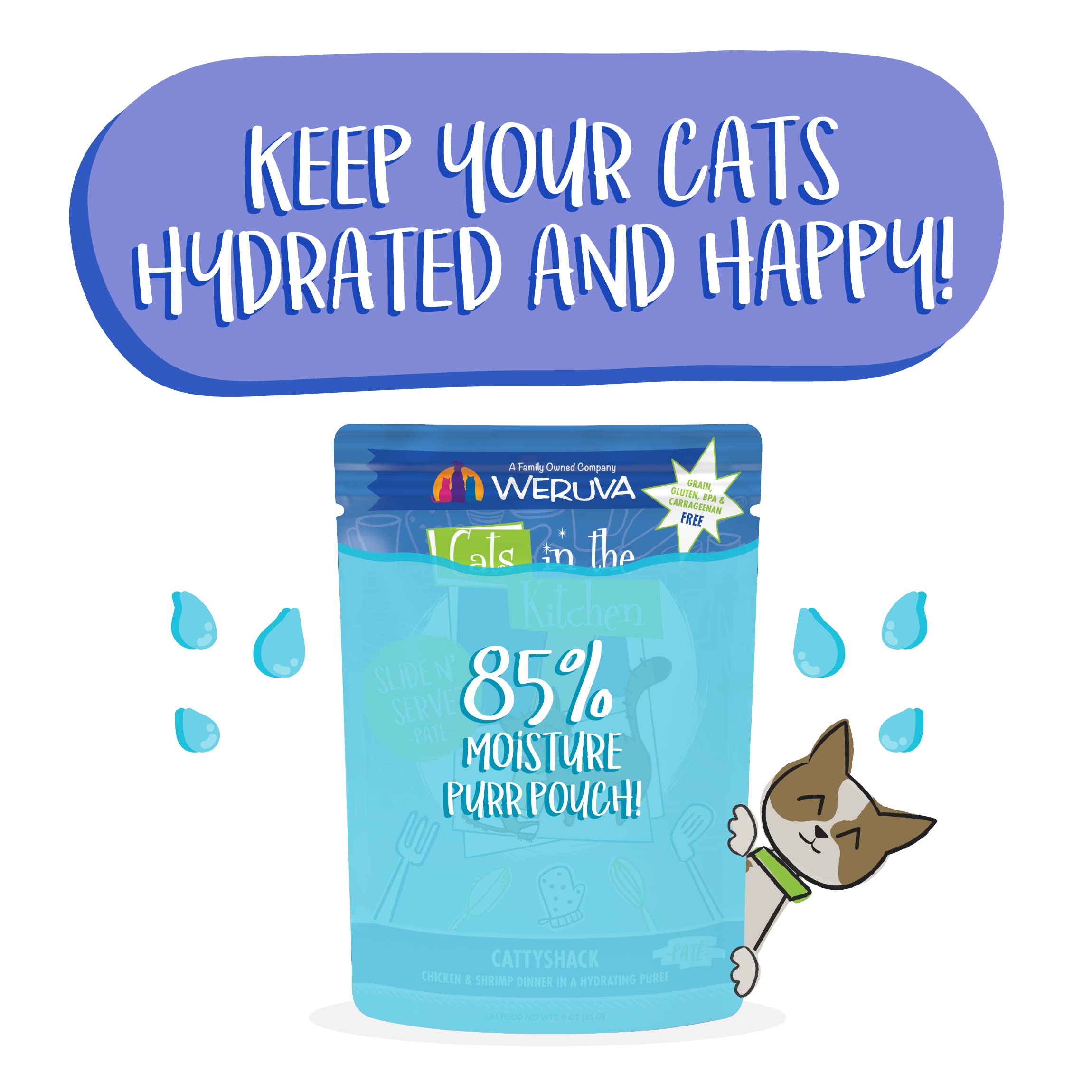 Weruva Cats in The Kitchen Slide N Serve Grain-Free Natural Wet Pate Cat Food Pouches, Cattyshack, 3oz Pouch (Pack of 12)