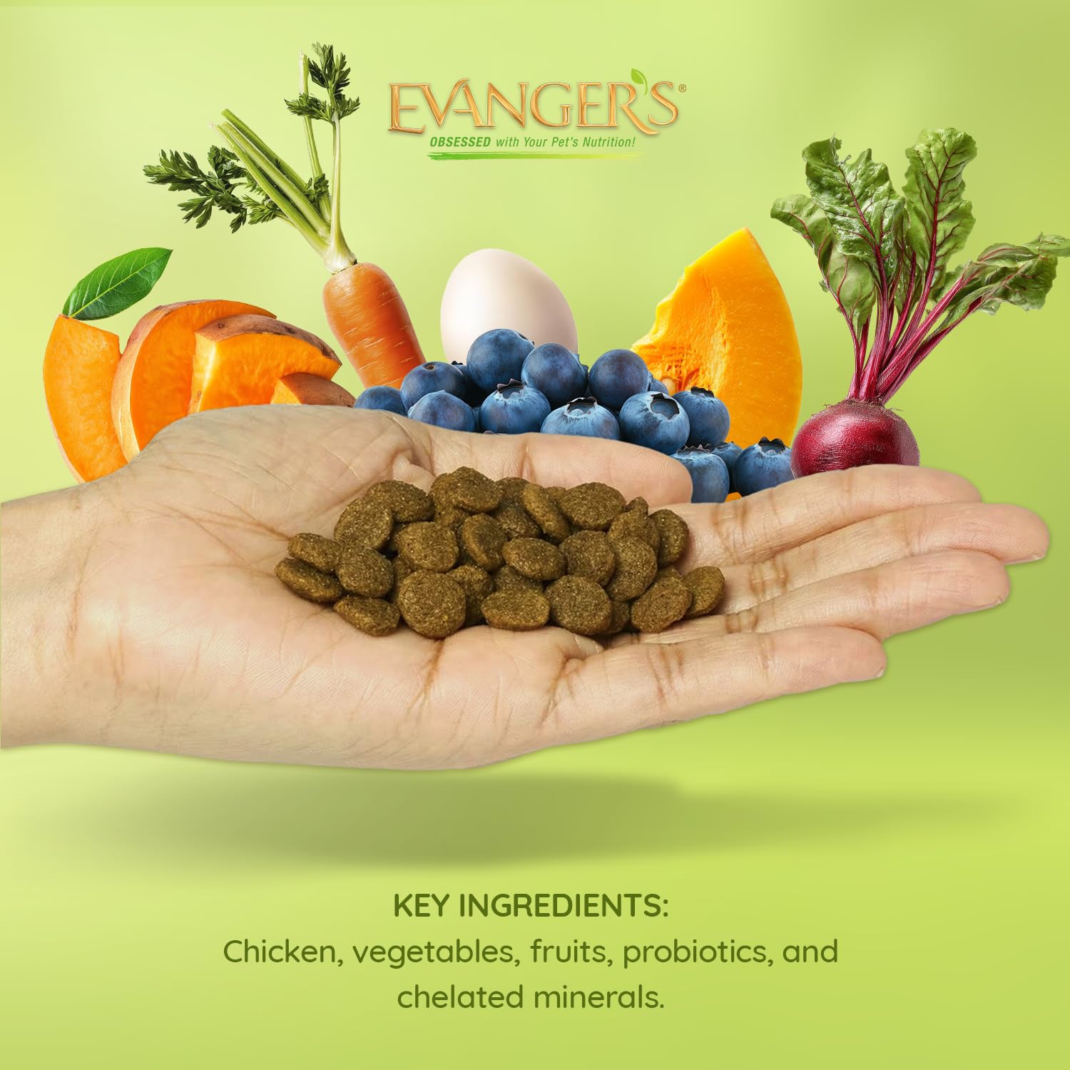 Evangers Grain-Free Chicken with Sweet Potato & Pumpkin Dry Dog Food, 30 lb Bag