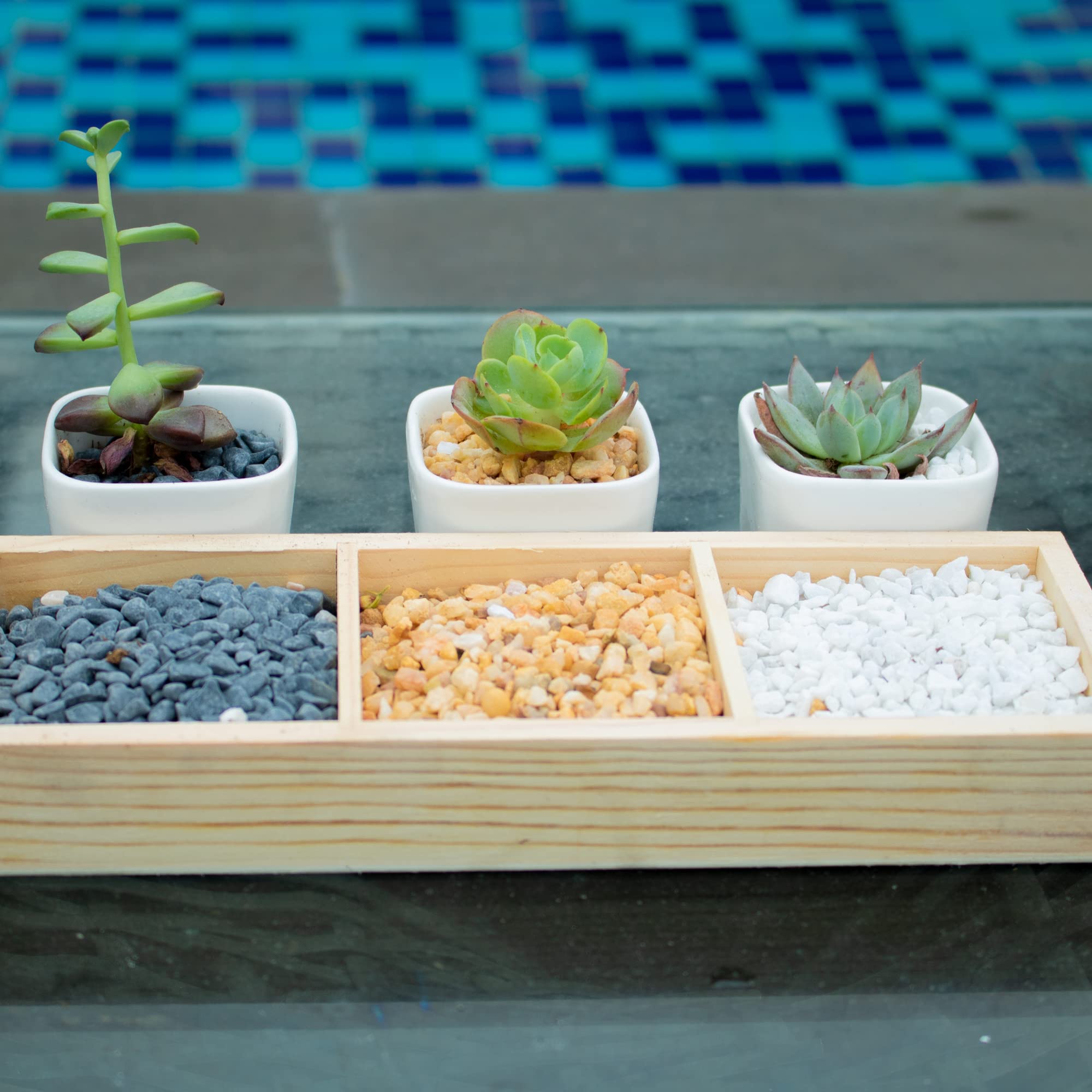 Anothera 18Lb 6Mm-8Mm Succulent And Cactus Bonsai Diy Rocks, White Onyx, Gravel For Terrarium, Fairy Gardening, Top Dressing