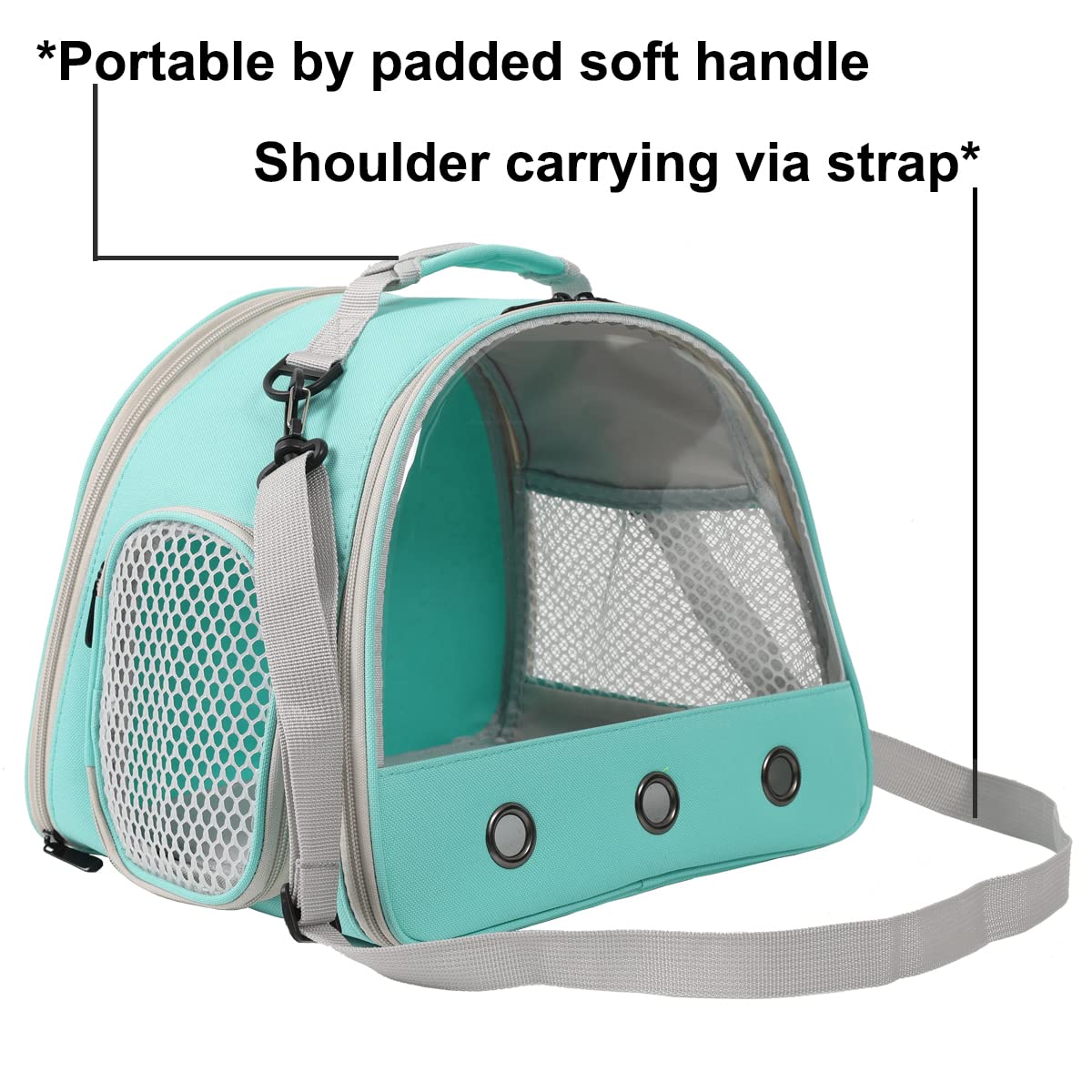 Bearded Dragon Carrier, Lizards & Small Animal Travel Carrier For Hedgehog, Rat, Parrot, Bird & Guinea Pig - Portable Carrier Fo