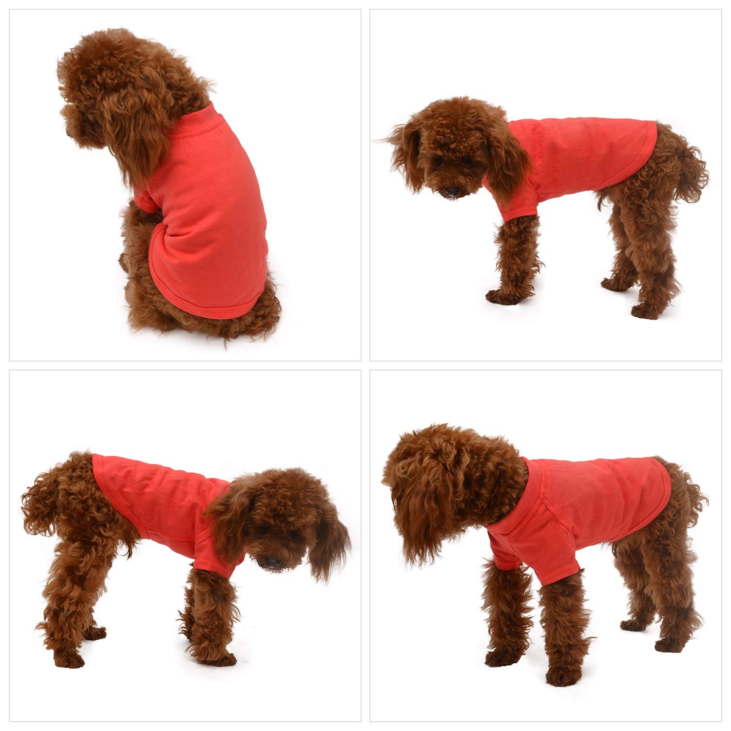 Lovelonglong 2019 Pet Clothing Dog Costumes Basic Blank T-Shirt Tee Shirts for Small Dogs Lobster Pink S