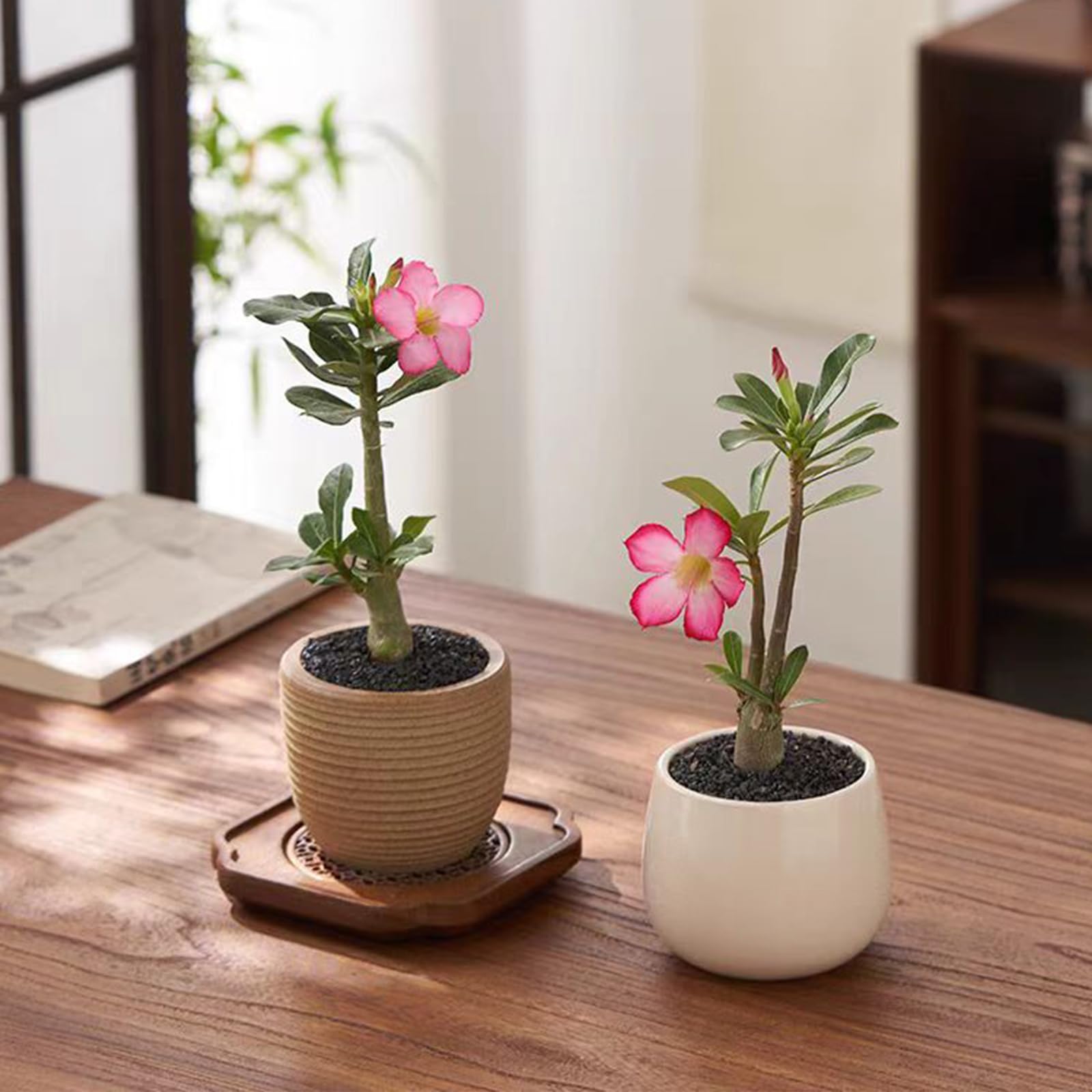 FANTIAN 10 lbs Black Aquarium Silica Sand. Decorative Aquarium Gravel Substrate for Fish Tank, Plants Potted, Fire Pits, Candle,