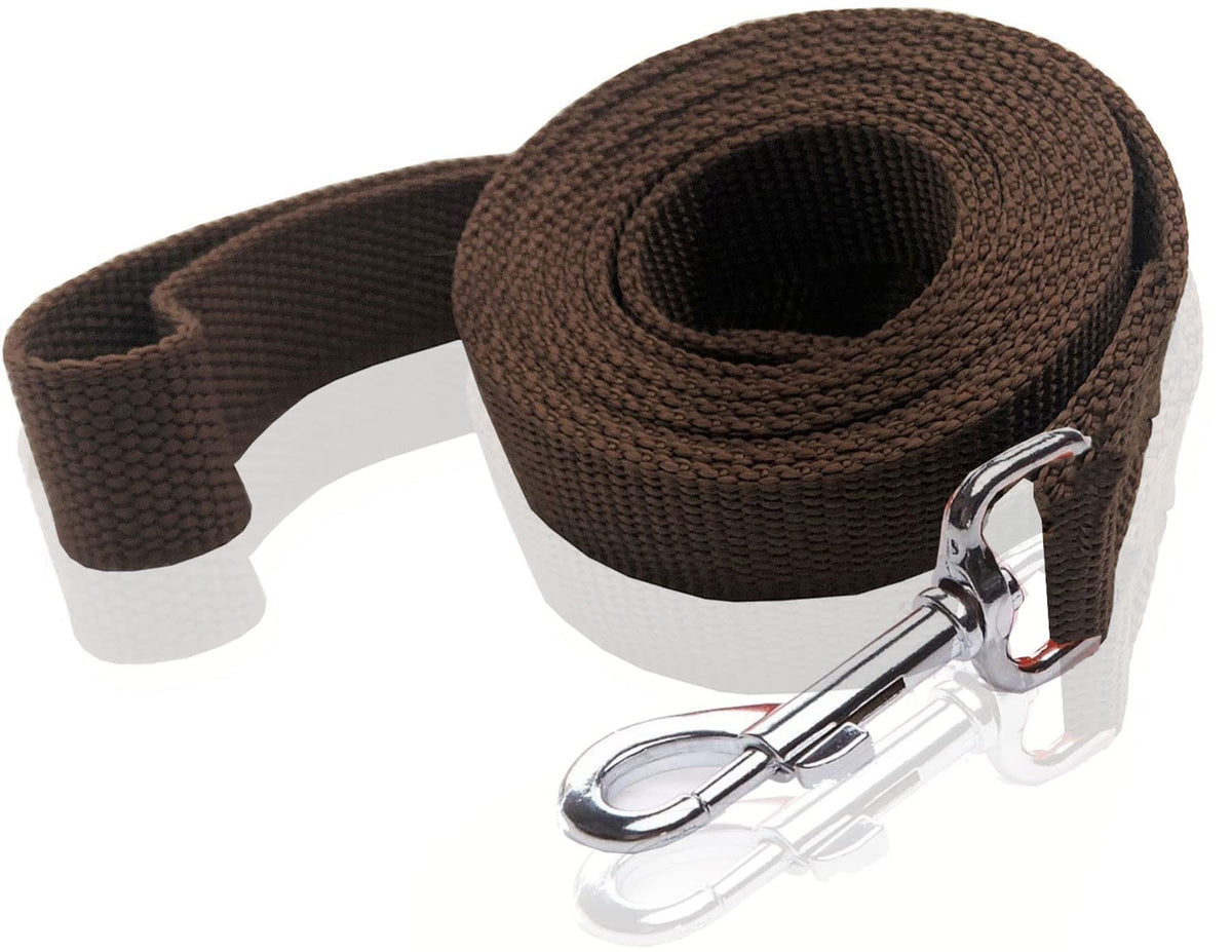 Nylon Dog Leash 16 Feet Long, Walking Training Dog Leashes For Medium Large Dogs(1'' X 16 Ft, Brown)